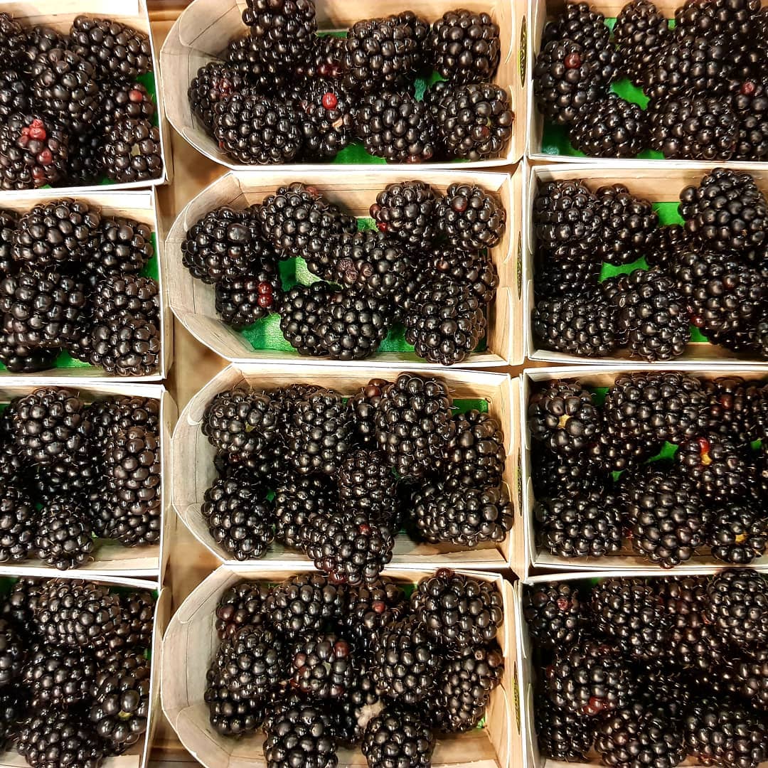 #brombeere #berry #berrys #germany #hamburg #wholesale #fruit #fresh #tasty #sweet #healthy #food #vegetarian #fruitarian
