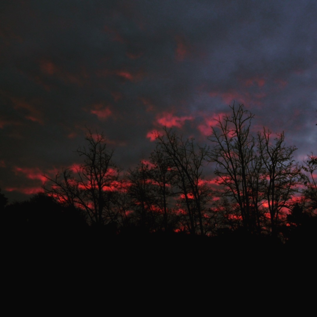 Last nights beautiful sunset silhouttes in the camp lotus nature area. 🌦
#camplotus #americanriver #california #sunset #sunsetphotography #exploreeldorado #naturephotography #fullmoonmagic