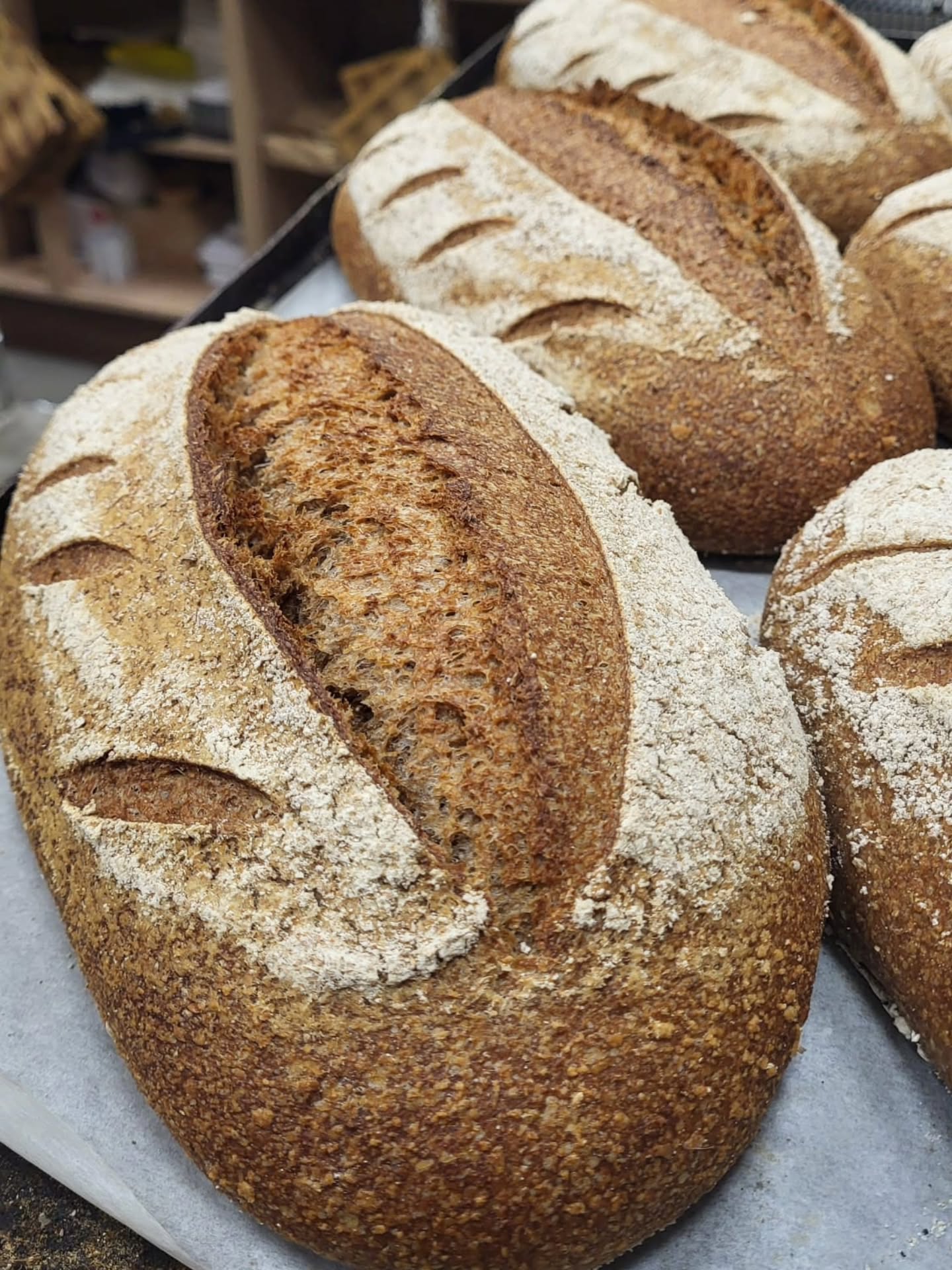Wishing you all a nice week! Our sourdough loaves are ready!!! 100% Wholemeal sourdough with slow fermentation! #realsourdough #madefromscratchwithlove❤️ #100%sourdough #suportlocal #indepentantbakery