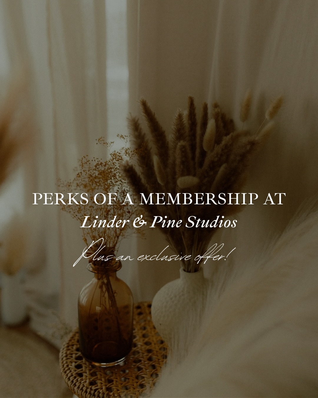 Meridian photographers! Memberships are OPEN at Linder & Pine studios! Iām so confident youāll love your member perks, that for February ONLY, Iām waiving our 3-month minimum. Try it out, no strings attached. If you love it, Iāll have an exclusive promo for you in March! āļø
DM us or get started on the website!