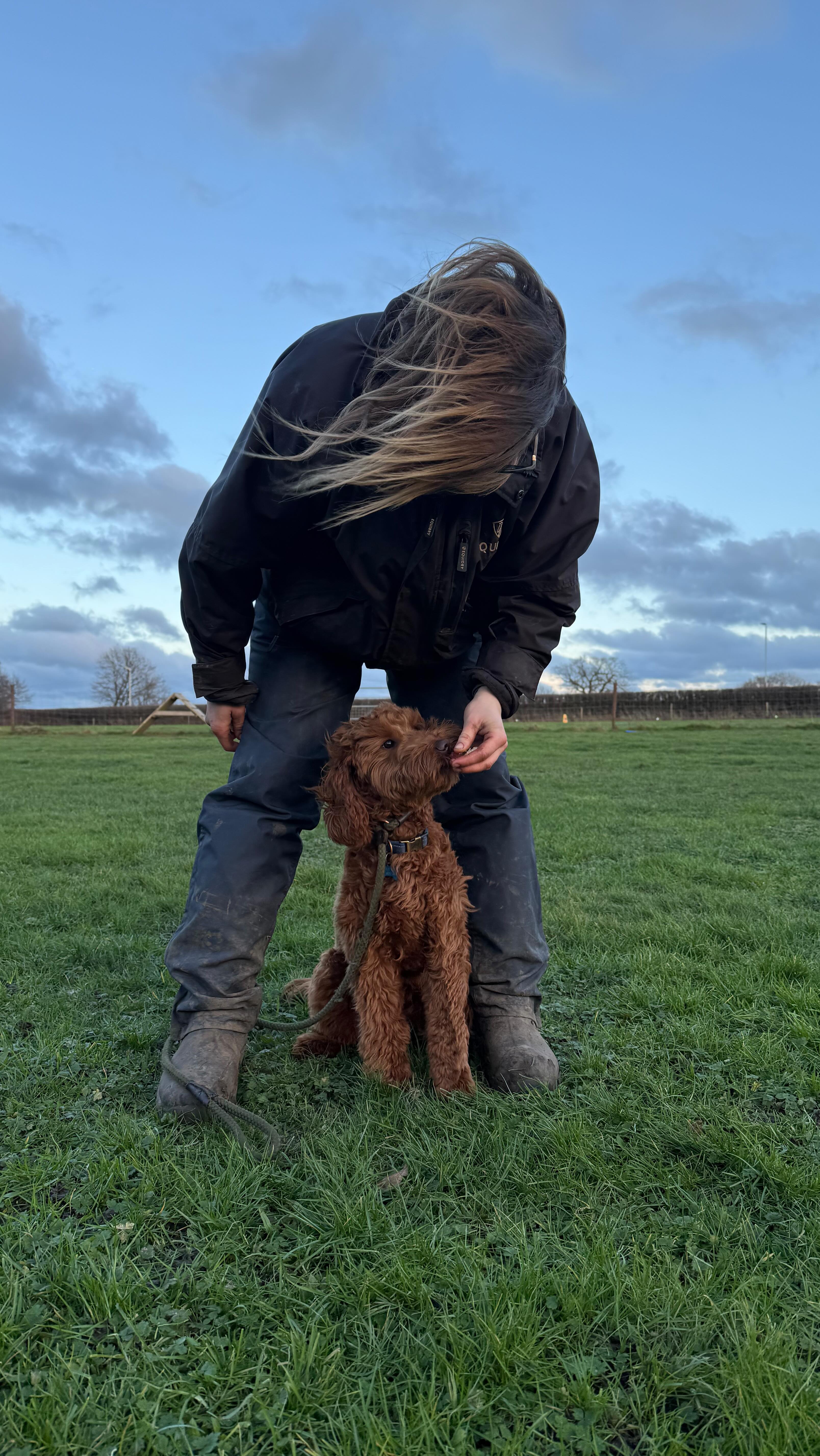 All in a (very windy) day’s work!
Every dog is different. That’s why our trailing is tailored entirely to you and your dog, from puppy beginner’s obedience to behavioural issues or sports training, we’ve got all the bases covered. At the end of the day, we all have the same goal- a polite, easy dog who will fit in and enrich our lives. Brushing up on the basics and building a better relationship with our dog is always the right idea! We can help you get started today. Drop us a message to find out more.