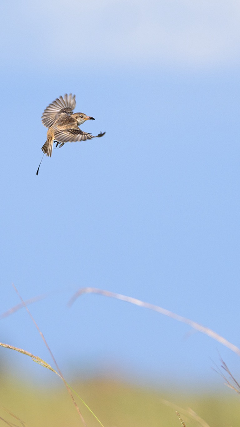 SAFARIS FOTOGRÁFICOS PARA MUJERES! 🦋
En los safaris fotográficos para mujeres nos sumergimos en plena naturaleza, afinando la mirada y practicando en el terreno.
Junto a guías expertos, biólogos y rastreadores nos adentraremos en lugares donde la fauna se muestra en todo su esplendor.
Guiándote en cada toma, verás cómo tus fotografías cobran una nueva fuerza. Tus imágenes mejorarán mucho más rápido en los Safaris que estudiando únicamente la teoría.
También descubrirás cómo transformar tu pasión en algo más grande. Compartiré contigo lo que he aprendido sobre la fotografía como profesión, cómo construir un portafolio con intención, aprenderás a darle valor a tu trabajo y explorar caminos para vivir de lo que amas.
Te beneficiarás adquiriendo mayores conocimientos fotográficos, mayores conocimiento acerca del comportamiento de la fauna, aprenderás a utilizar la fotografía como herramienta para generar ingresos, formarás fuertes vínculos con otras mujeres y tendrás una vivencia de vida que recordarás con mucho amor siempre.
Cada Safari es una experiencia transformadora para conectar con la vida silvestre y crecer fotográficamente.
-05-09/09/2026 Torres del Paine, Chile 𓃮✮
🔥ÚLTIMOS CUPOS!🔥
-05-15/11/2026 Península Antártica , Antártida ⋆꙳•̩̩͙❅*̩̩͙‧͙ ‧͙*̩̩͙❆ ͙͛
🔥ÚLTIMOS CUPOS!🔥
-27-30/01/2027 Sierra Nevada, Colombia 𓂃 ོ𓂃
Comenta safari y te envío más información ㅤ♡
#lacamaraexplora #safarifotográfico
#safarisfotograficos #safarifotografico