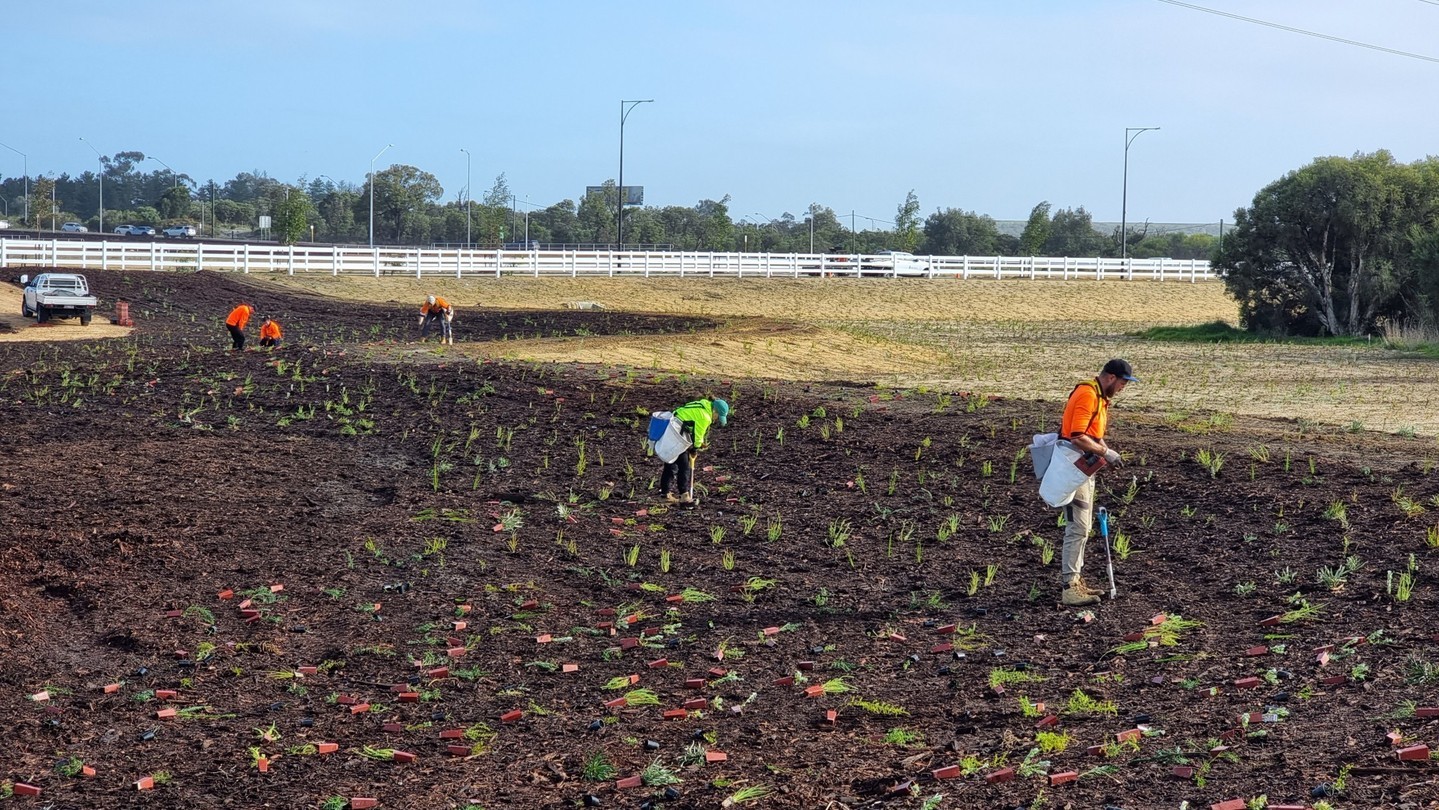 🌿 October is Safety Awareness Month, and we couldn't be prouder of our amazing team! 🧡
Our dedicated crew goes the extra mile every day to ensure the safety and well-being of both our employees and clients. They're not just experts in landscaping; they're champions of safety.
From the first shovel in the soil to the last plant in the ground, we prioritize safety in everything we do. Thank you, team, for your unwavering commitment to creating beautiful, safe outdoor spaces for our community. 🌱💪 #SafetyAwarenessMonth #LandscapingPros #TeamPride #SafetyFirst #CivilPlanting #TreePlanting #Landscaping #ReplantingOurFuture