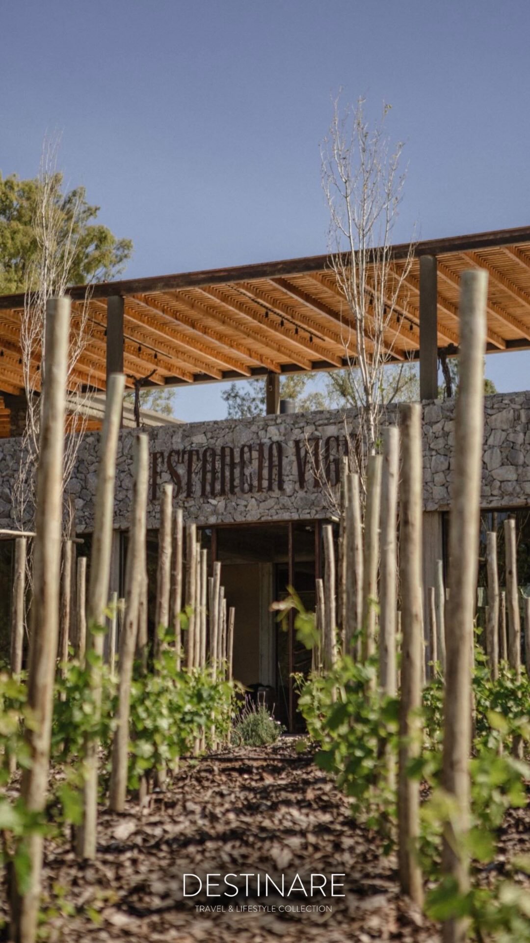 🇦🇷🍷 For the Wine Lovers 🍷🇦🇷
With an extraordinary eye for detail, Alchemy DMC designs bespoke, one-of-a-kind experiences that celebrate culture, gastronomy, and a true sense of place.
One of their standout offerings is the Estancia Vigil Buenos Aires – Full-Day Wine Experience, hosted at a recently opened estate in Buenos Aires. Guests stroll through the vineyards, discover the story behind the property, enjoy signature cuisine, and taste exceptional wines in a setting that feels both intimate and unforgettable ✨
More than a visit, this is a sensory immersion—perfect for travelers who value authenticity, flavor, and meaningful moments that linger long after the experience ends.
📧 For more information on this experience or other bespoke journeys by @alchemy_dmc please contact us at info@destinaretl.com
.
.
#DESTINARE #argentina #wine #alchemydmc #winery