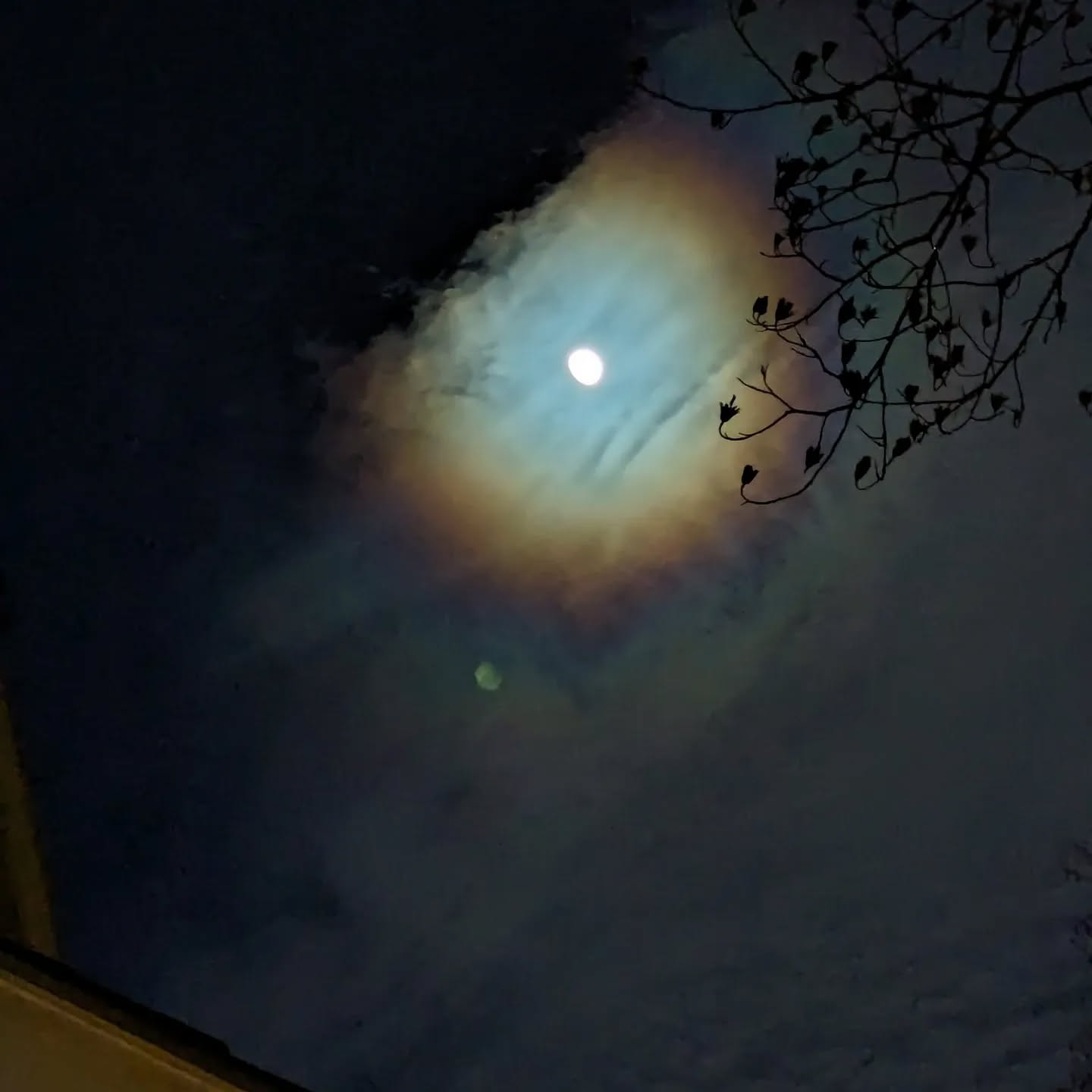 Looked up and took the best picture I could. I don't think I've ever seen the sky and moon look like this before... But it looks so pretty!
🌙
#moonlight #lookup