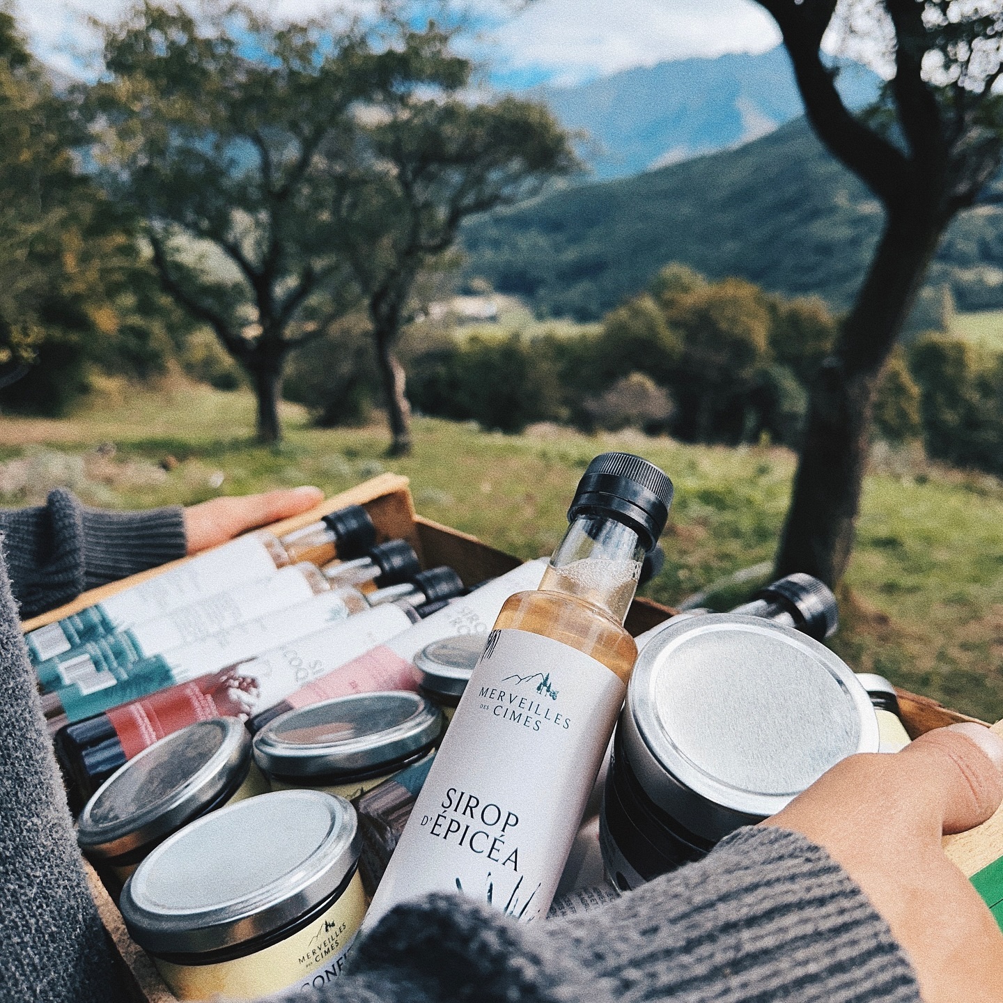 Le métier d’agriculteurs n’est pas seulement de produire mais aussi de vendre. 🛍️✨
Pour vous permettre de trouver les produits Merveilles des Cimes dans vos points de vente habituels, un important travail consiste donc à rencontrer les directeurs de magasin, les convaincre et lancer des partenariats commerciaux.
N’hésitez pas à partager le compte autour de vous 😊
En attendant que les produits Merveilles des Cimes arrivent prêt de chez vous, ne manquez pas l’actualité de la marque sur les différents réseaux sociaux 🔔
#merveillesdescimes #agriculturebiologique #produitslocaux #bio #hautesalpes #champsaurvalgaudemar