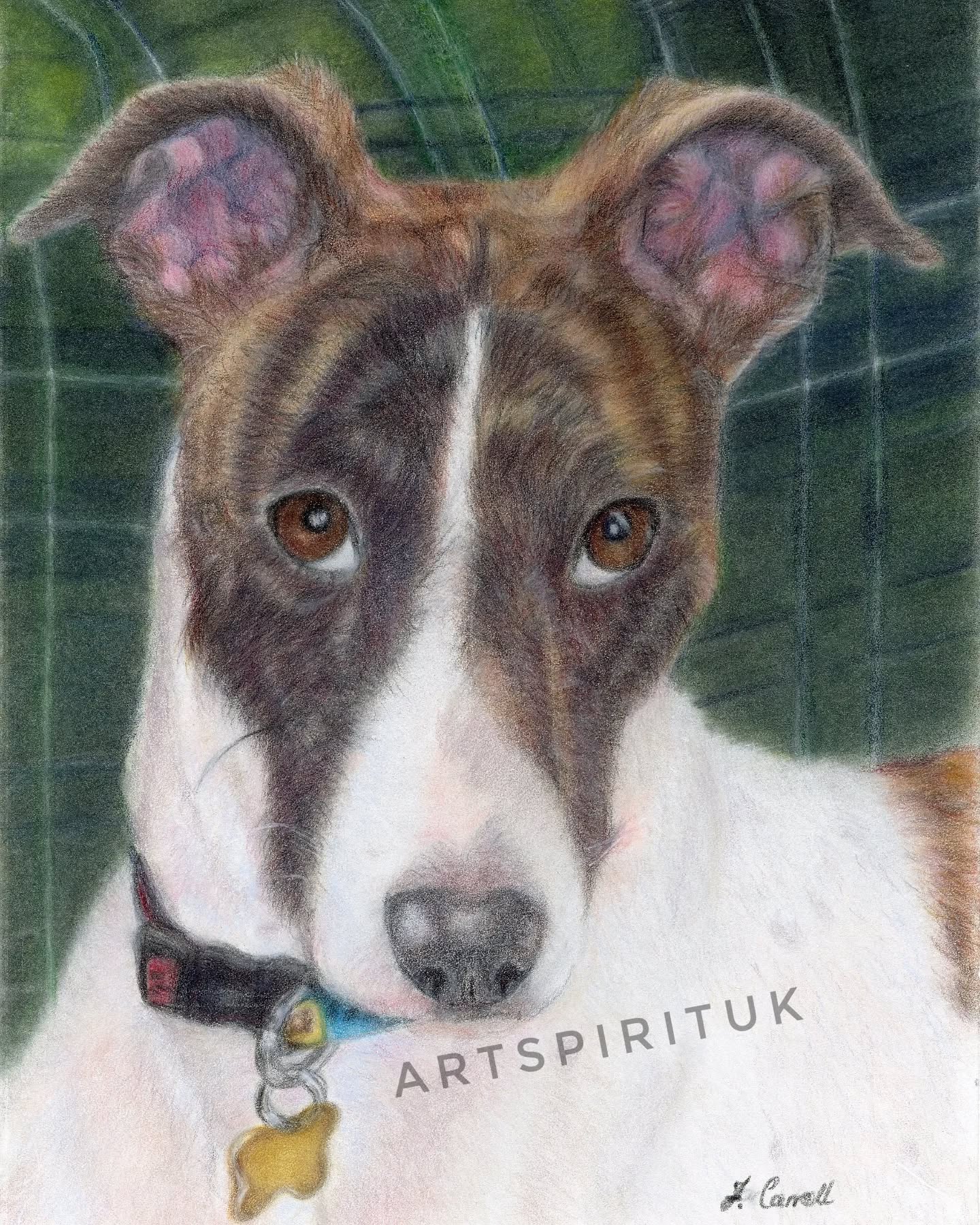 A long awaited portrait completed with love and attention. Owners have now received and are very pleased. A multitude of colours and care within this portrait 💕#doglovers #colourpencilart #gallerywall #lurcher #dogs