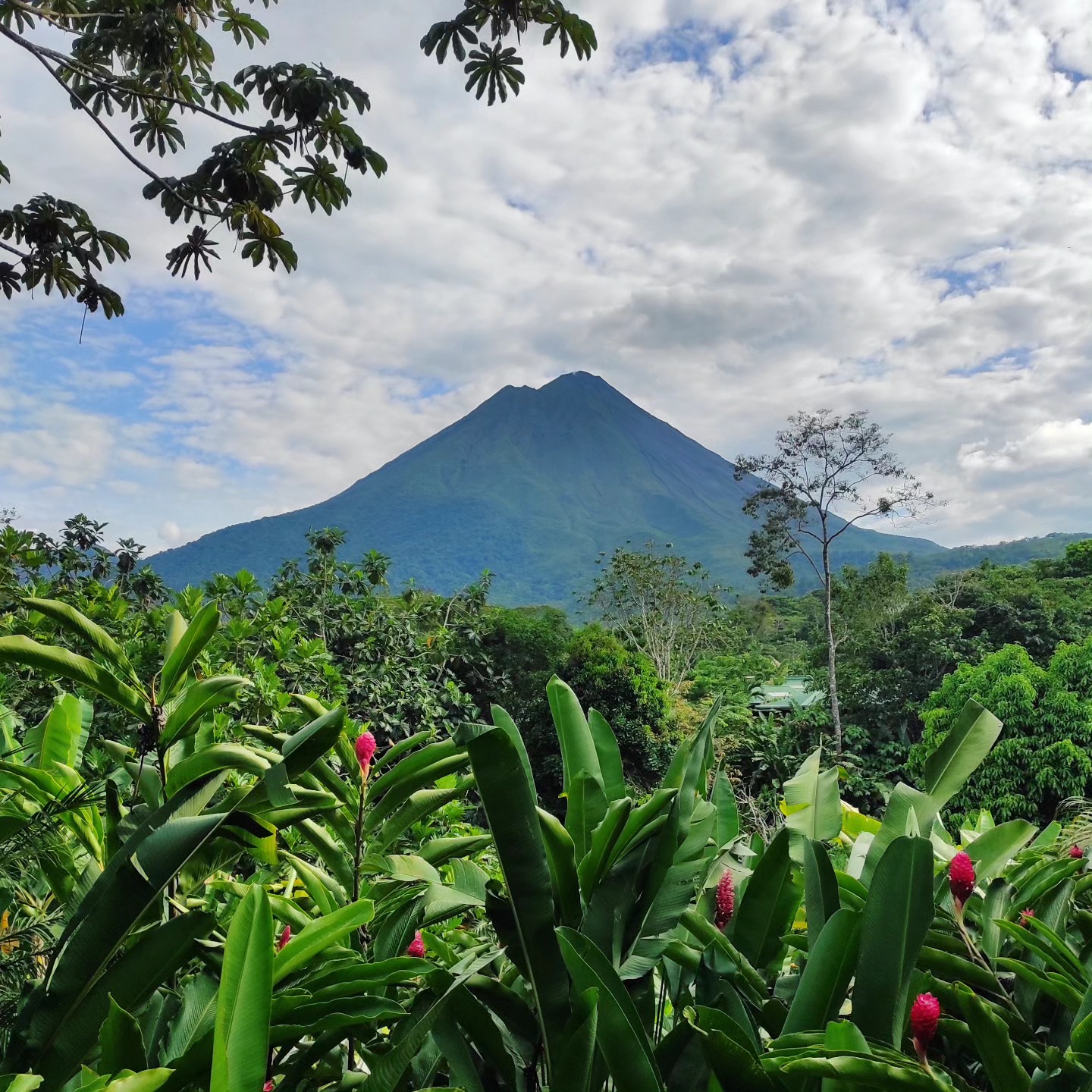 Vistas de #costarica.
En el study tour de @naiinterpreters
#interpretation