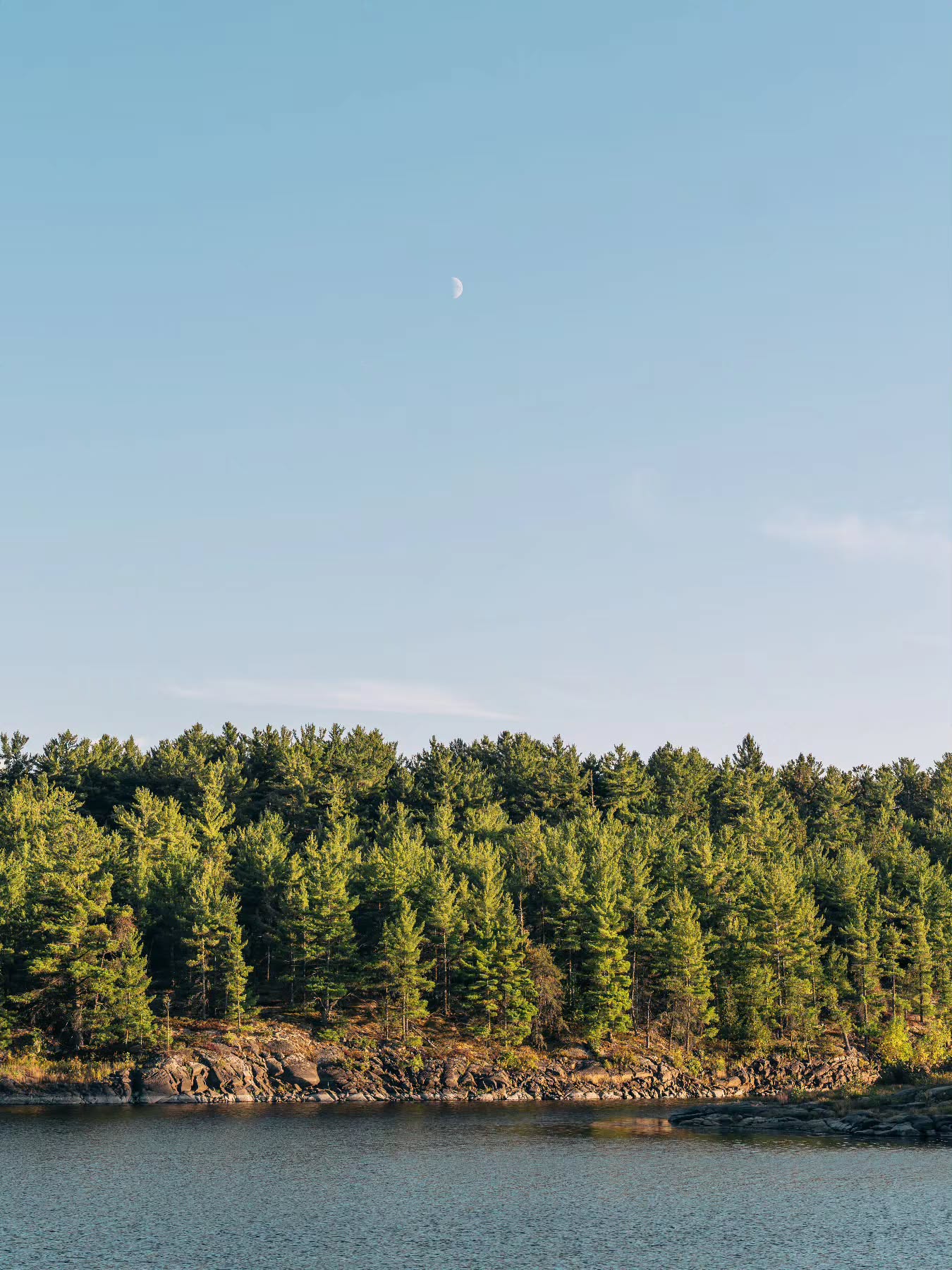Something green and blue. 💙🌊🌲
(2025-08-30)
#frenchriverprovincialpark #ontarioparks #canoe #moonphotography #landscapephotography