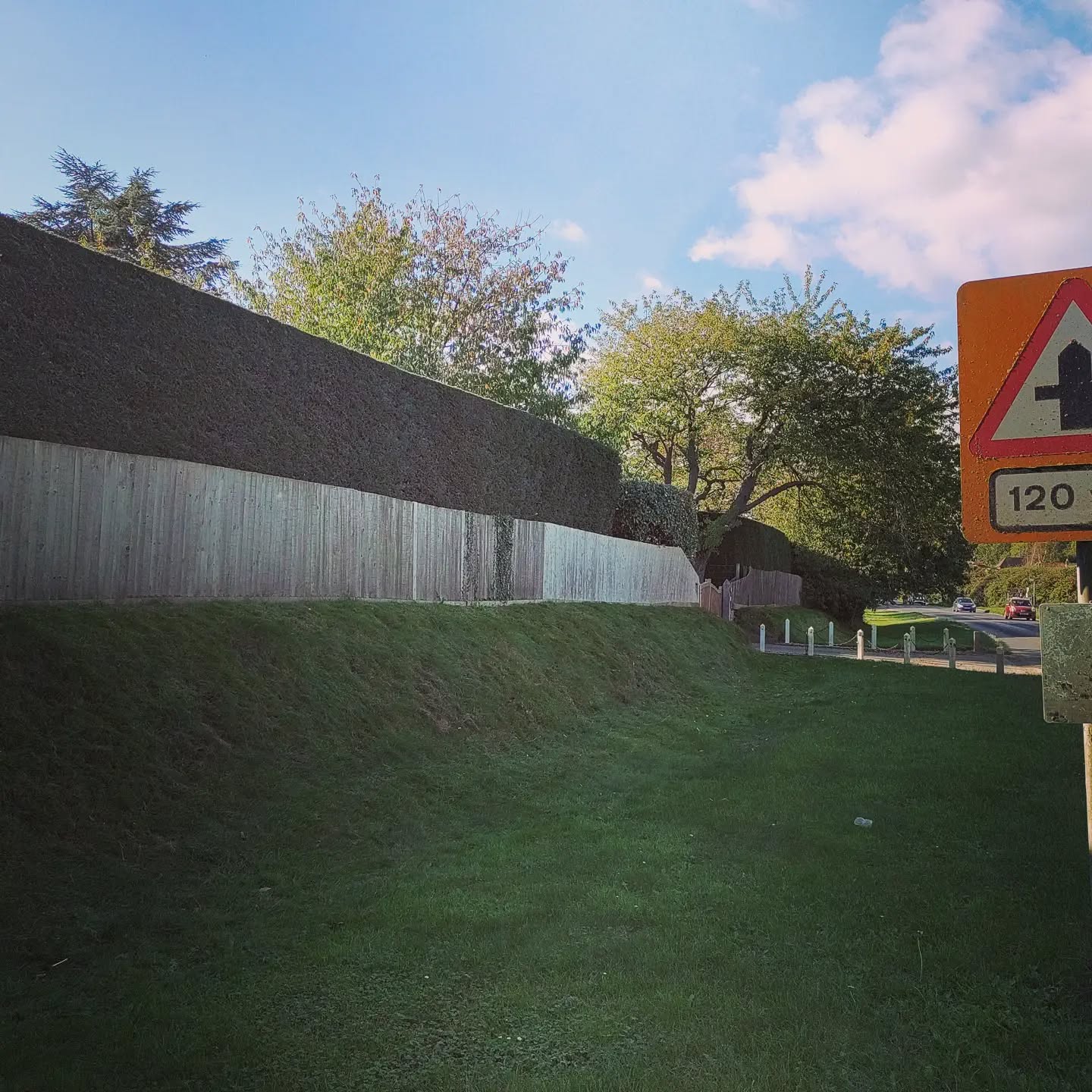 large hedge trimming job we are on in mundham.
It's a pleasure to cut such nice hedges 👌