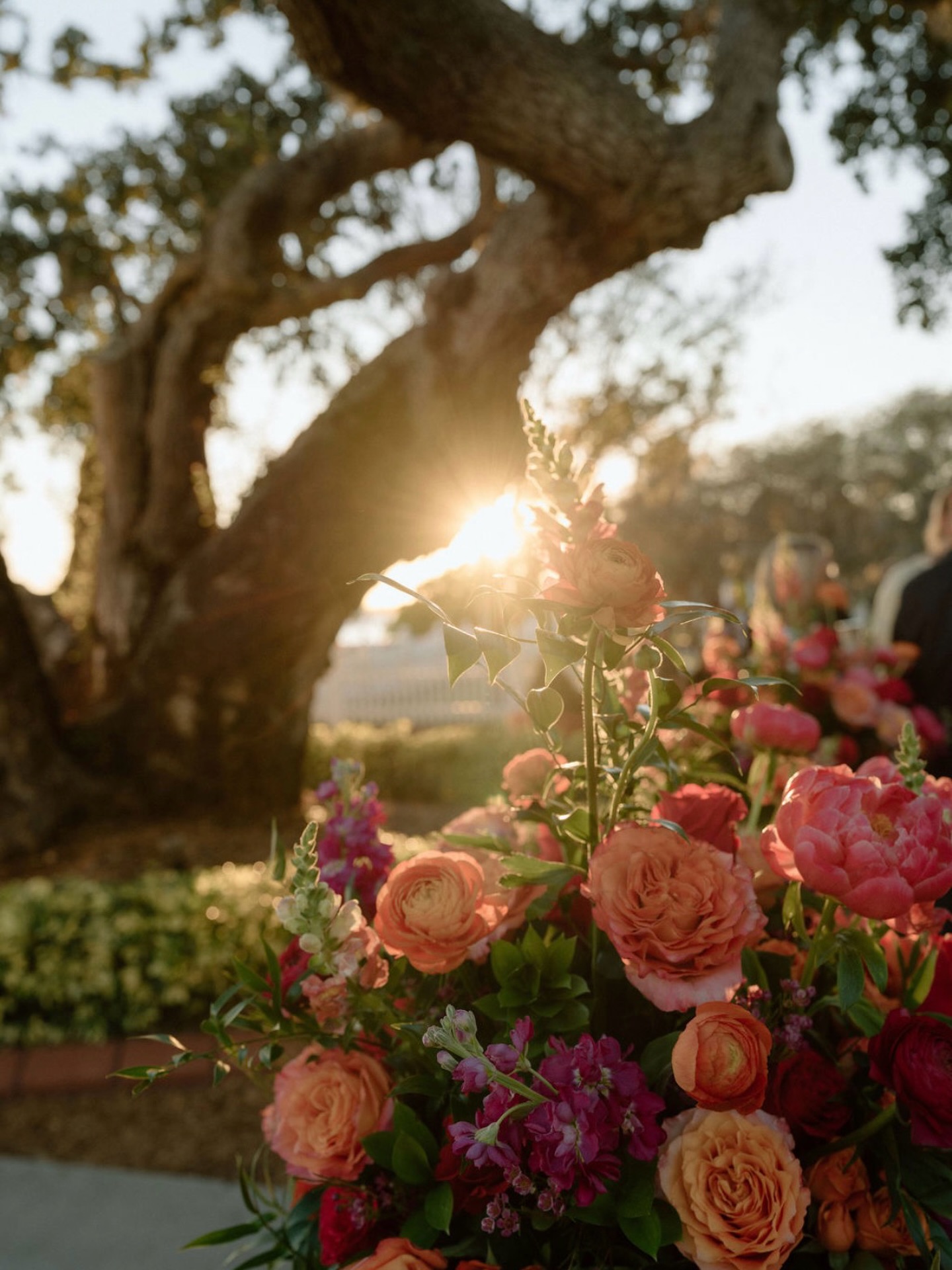 Golden hour
.
.
.
.
Ceremony Venue @ first Presbyterian Church of Bradenton
Cocktail Venue: @palmettobnb
Reception Venue @palmettomarriott
Planner: @bbweddingsevents
Beauty @ivorycollective.co
Rentals @stellaroseevents
Photo @acdmediallc
Content Creator @firstlookbysav
Wedding couple transportation @classic_wedding_cars_fl
Transportation @ ambassador limousine
Chargers @achairaffair
Catering & Bar Cocktail @sarasotacatering
Charcuterie @_woodandcheese
Linens / glassware @ustentrental
Restrooms @ loo trailers
DJ @graingertainment
Florals: @onecoflorist
Dress @bridalbyamiee @jjshouseofficial
Suits: @menswearhouse
Bride @manonlippensfuller
.
.
.
#bbweddings #weddings #bradenton #palmetto #palmettoriverside