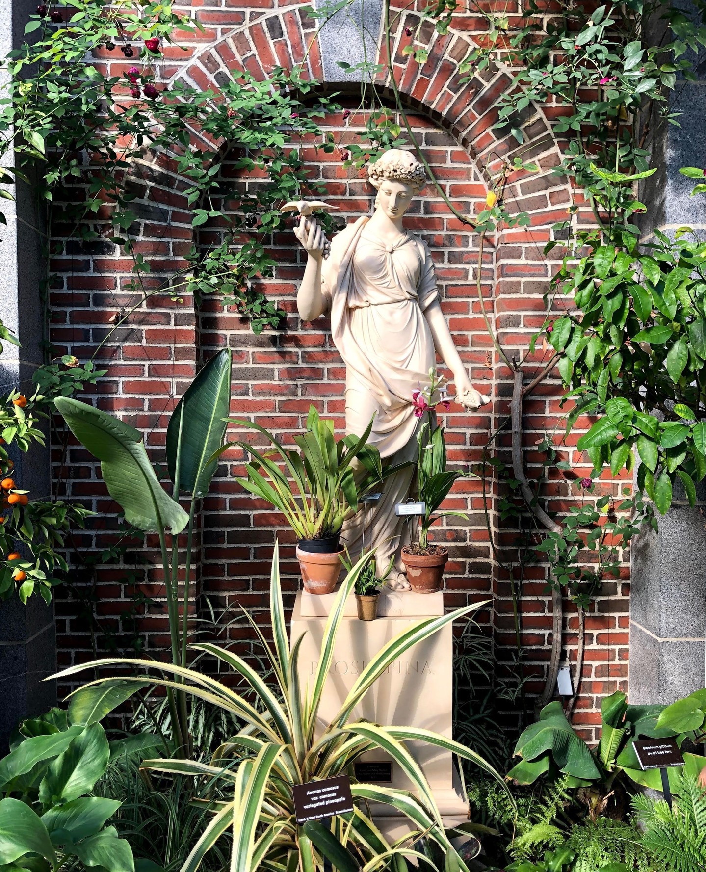 Cold winter days call for a visit to a nearby conservatory 🌿 Pictured here is a dreamy vignette from @newenglandbg — one of our favorites! 🌺
Do you have a go-to spot to escape the winter blues?
.
.
.
.
.
#citygarden #garden #gardendesign #growsomething #gardenlove #boston #backbay #containergarden #gardenstyle #instagarden #landscaping #outdoorliving #outdoordecor #outdoordesign #gardenlife #curbappeal #windowbox #home #bhg #bhghome #bostonhome #plantlove #igboston #theprettycities #mytinyatlas #newenglandbg