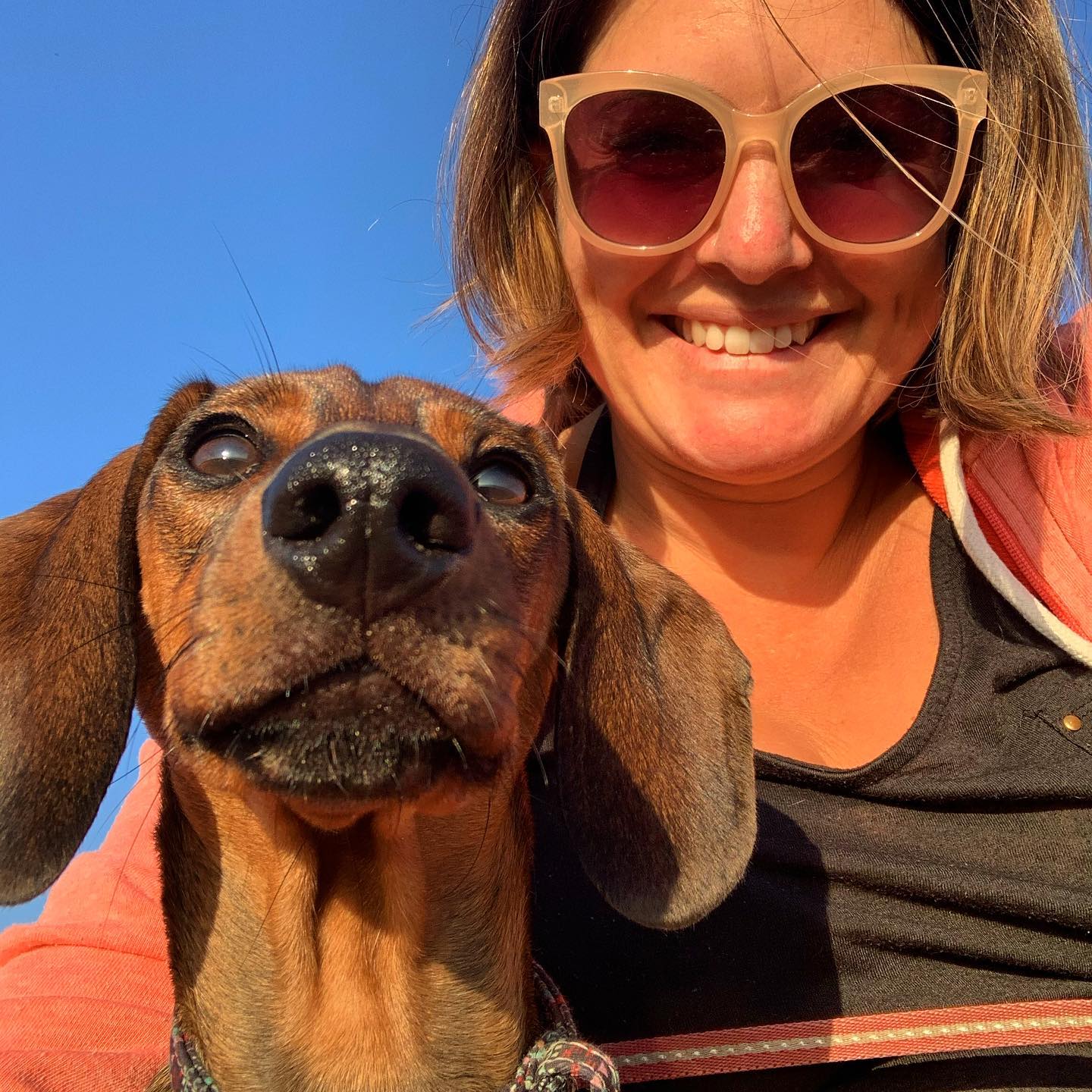Happy #internationaldogday from me and him. My office buddy and ultimate time wasterā¦
#officedog #sausagedogsofinstagram #frelancer #freelancelife #brighton #marketingconsultant #workwellbeing