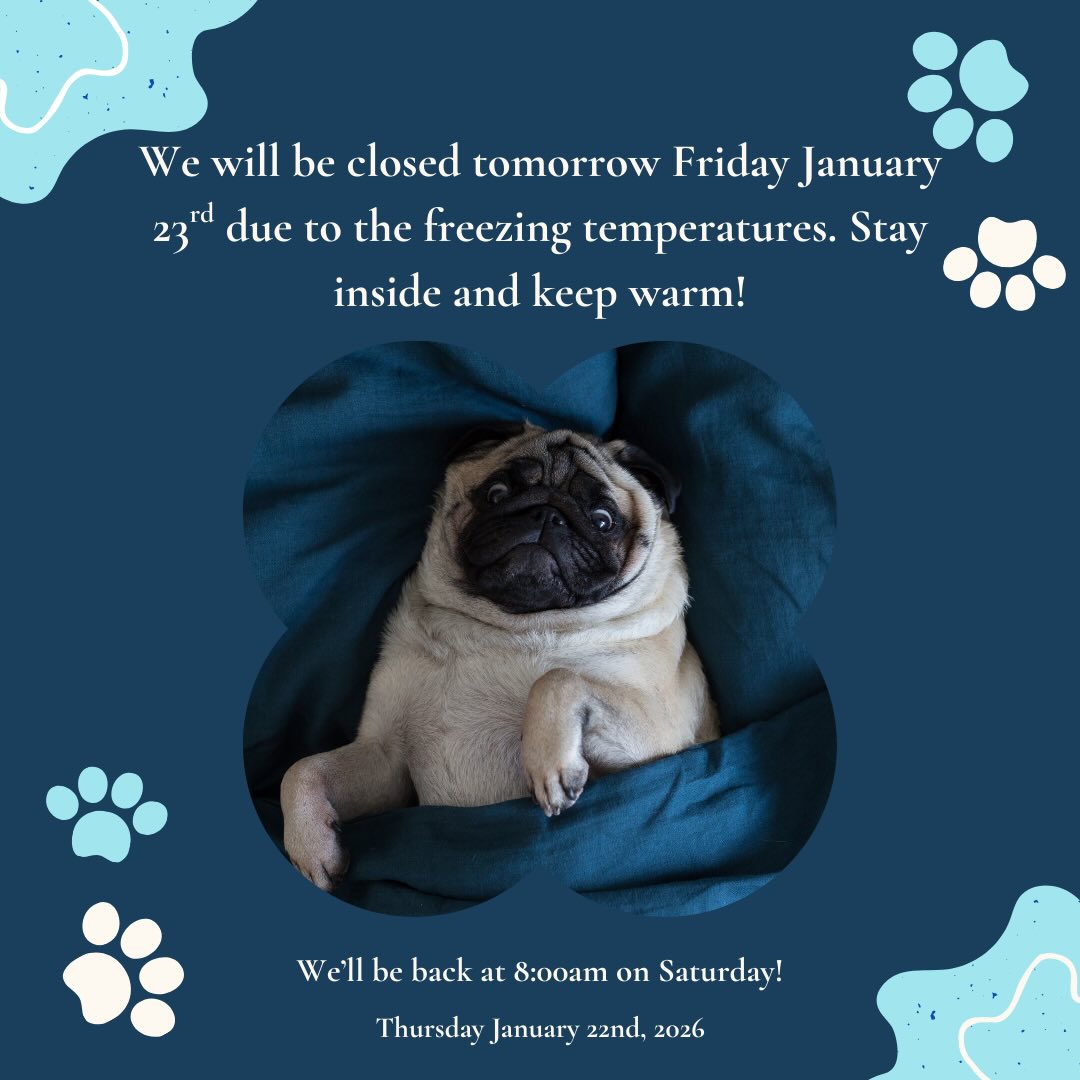 We will be closed tomorrow Friday January 23rd due to the cold weather! Stay warm! 💙🤍🩵