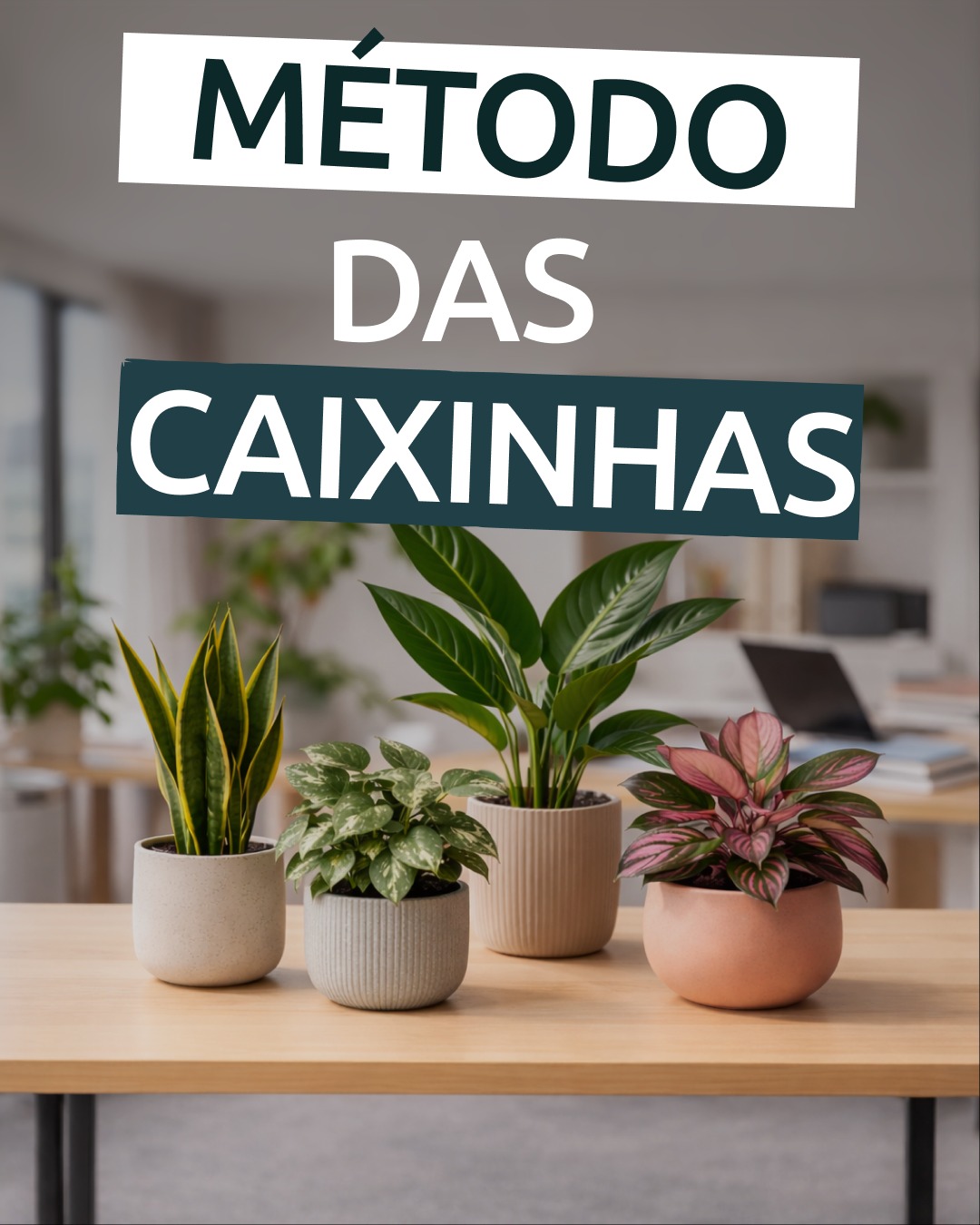 Quando o dinheiro do negócio fica todo no mesmo lugar, a gestão financeira perde clareza. Decisões importantes como retirada, impostos e investimento, acabam sendo feitas no impulso.
Uma forma simples de organizar isso é adotar o método das “caixinhas”, inspirado na lógica do Profit First, do autor Mike Michalowicz. A ideia é separar primeiro o que cada parte do dinheiro precisa cumprir e, só depois, usar o que ficou disponível para despesas.
Na prática, pense em quatro caixinhas essenciais:
Custos (fixos e variáveis)
Para manter a operação funcionando com estabilidade.
Impostos
Para pagar no prazo com previsibilidade.
Salário/Pró-labore
Para sua retirada ser planejada, com consistência.
Lucro e reserva
Para crescimento e segurança do caixa, sem depender de meses excepcionais.
O objetivo não é “ver se sobra” no fim do mês. É separar no começo, com rotina e critério, para tomar decisões melhores e proteger o caixa.
Eu sou economista, atuo com gestão financeira para empresas. Se você quiser, eu posso te ajudar a definir percentuais realistas para as suas caixinhas, considerando seu tipo de serviço ou produto, seus custos e sua margem.
#finançasparapmes #gestaofinanceira #controlefinanceiro #profitfirst #lucro