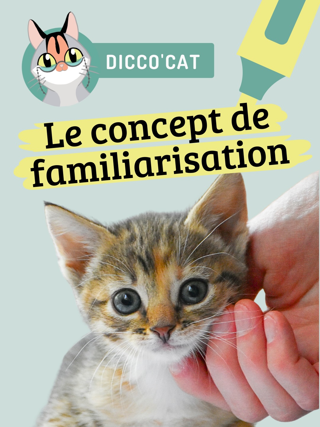 La familiarisation, on en entend souvent parler, sans toujours savoir exactement ce que ça veut dire… Et surtout, ce que ça implique concrètement pour le chat.
Pourtant, c’est super important ! ☺️
Mal menée, elle peut donner lieu à des craintes, voire à de vraies difficultés qui peuvent rendre certains aspects du quotidien laborieux – autant pour le chat que pour son humain. 😿
Par exemple :
📦 une grosse galère pour mettre le chat dans sa caisse de transport
🪮 un chat qui fuit illico dès qu’on sort sa brosse
🛋️ ou qui file se cacher sous le canapé si un enfant s’en approche.
Bien sûr, tout ne s’explique pas uniquement par la familiarisation. Chaque chat a son histoire, son vécu, ses expériences. 🐈⬛
On peut très bien avoir fait les choses “comme il faut” au départ… jusqu’à ce qu’une mauvaise expérience vienne tout bouleverser. Une visite vétérinaire traumatisante peut, par exemple, créer une association négative durable avec cette maudite caisse qui l’emmène à la clinique ! 🙀
Dans ce cas-là, il n’est plus question de familiarisation : il s’agira de travailler progressivement sur la réponse émotionnelle du chat pour diminuer la peur associée à la situation (désensibilisation) et de reconstruire des associations plus neutres, voire positives (contre-conditionnement).
Dans tous les cas, pas de panique ! Comme je le répète souvent : il n’est jamais trop tard 😊
Que ton chat n’ait pas été habitué jeune à certains stimuli ou qu’il ait développé des craintes avec le temps, on peut presque toujours y travailler et l’aider à mieux vivre certaines situations. 🥰
C’est d’ailleurs un motif très fréquent de consultation, pour lequel j’accompagne souvent humains et chats. L’idée est de comprendre ce qui pose problème, de mettre en place un travail sur mesure basé sur la douceur, la patience et le respect du rythme du chat. 💚
- - - - - - -
Et chez toi, tu en es où avec la familiarisation ? Ton chat a-t-il des craintes particulières ?
💬 Dis-moi tout en commentaire. 🐱
#familiarisation #scaredcat #ethologie
