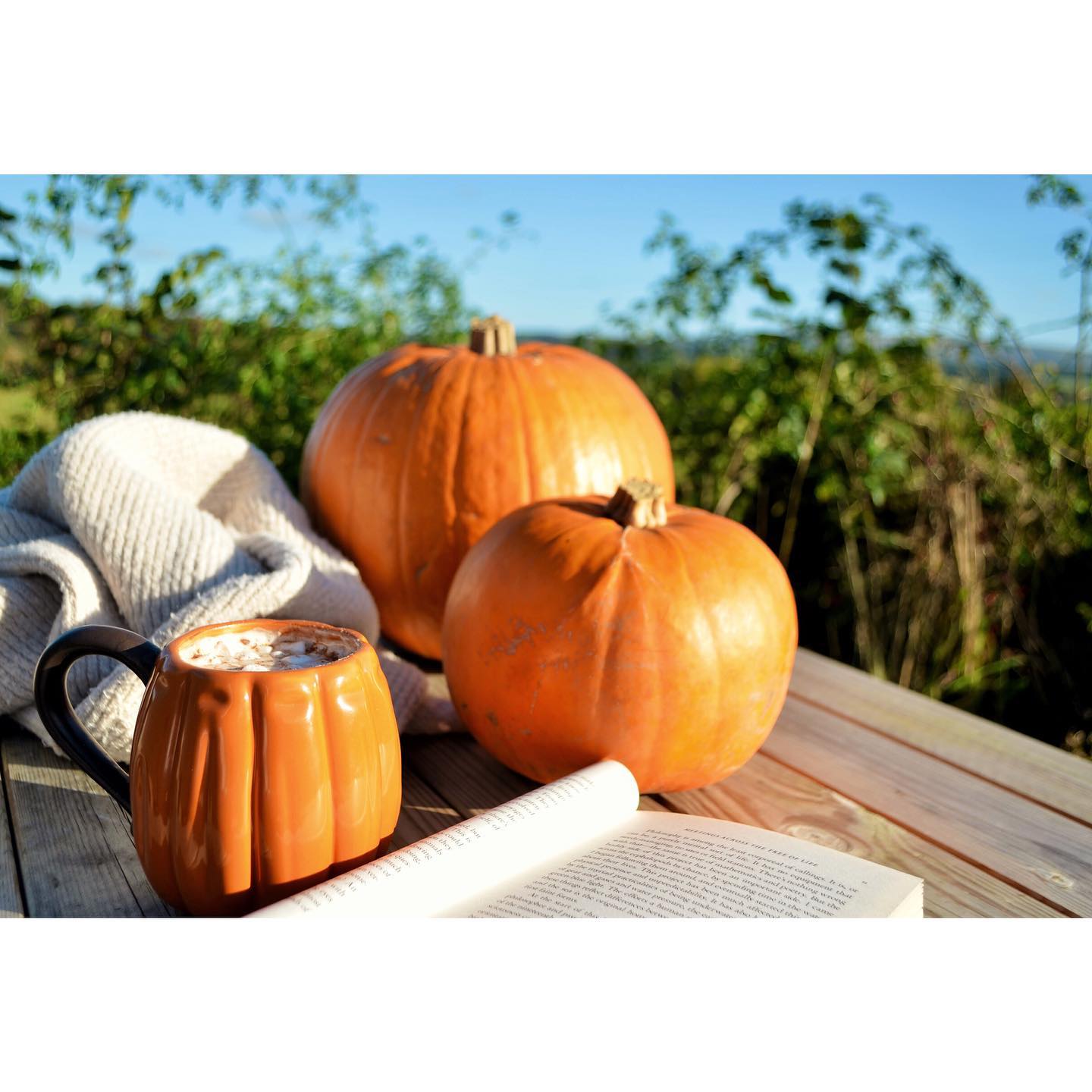 It’s pumpkin month again! 🎃☕️ Our ‘Autumn Midweek Breaks’ special is live until the end of November - get £25 off per night from Monday to Thursday ✨