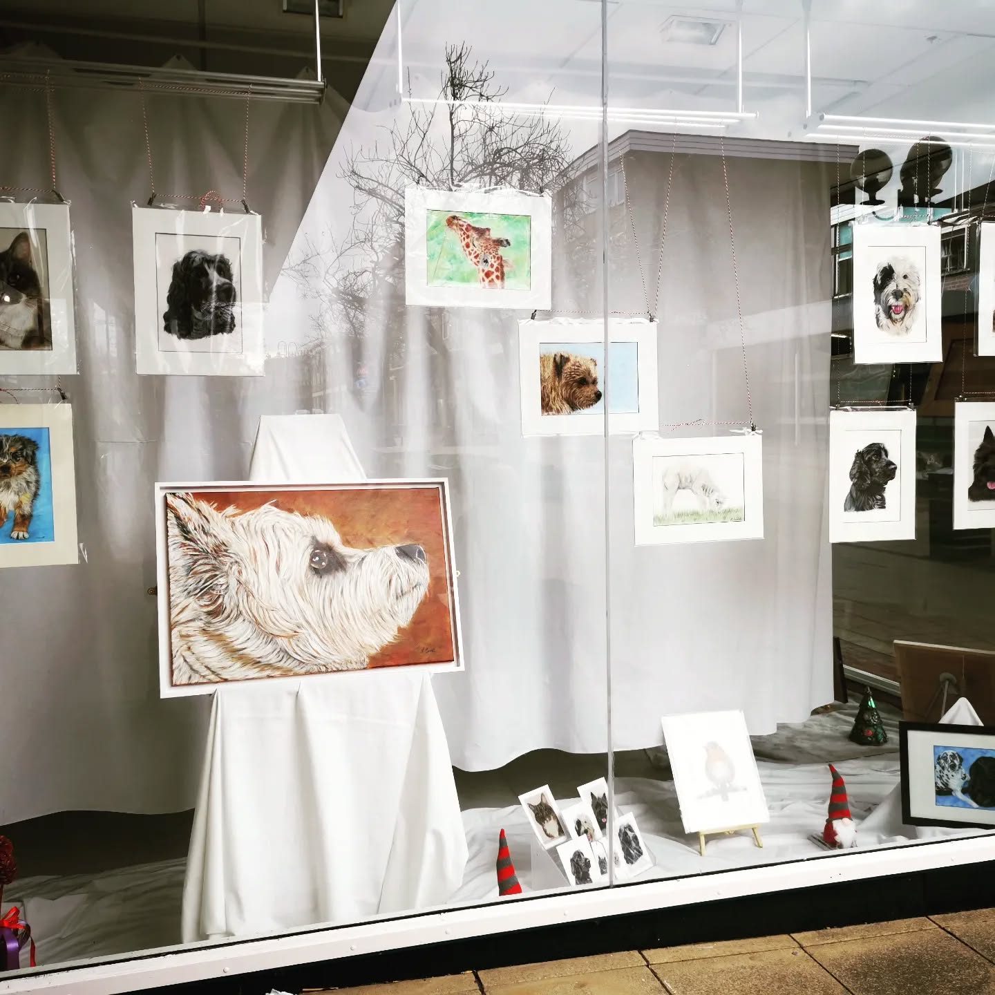 My art up in a closed shop in Solihull. Please have a look when you go in.. Next to castle fine art. Any enquiries or purchases please contact me via social media /website or other contact details on the door of shop. #gallery #colourpencil #artist#pet portraits #doglovers