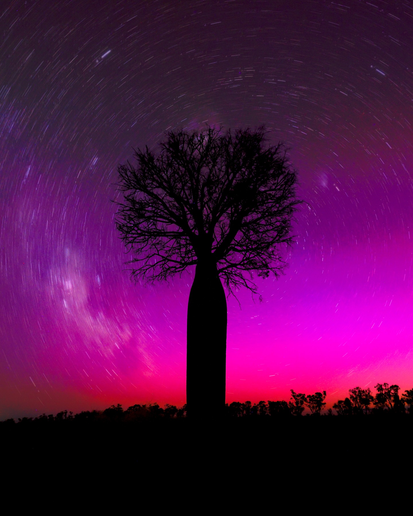 Aurora Australis. Roma QLD.
Now that was space weather!
#canonaustralia
R5MII
RF15-35mm
15 secs f2.8, ISO3200
45 stacked images
#abcmyphoto #astrophotography #australia #aurora