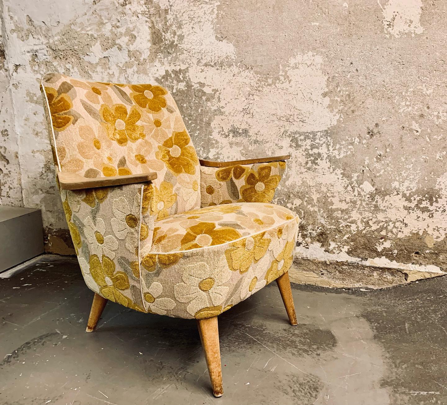 Schon mal die ersten Blumen dieses Jahr. Nach Wochen der Kälte verspricht uns das Wetter das der Frühling naht.