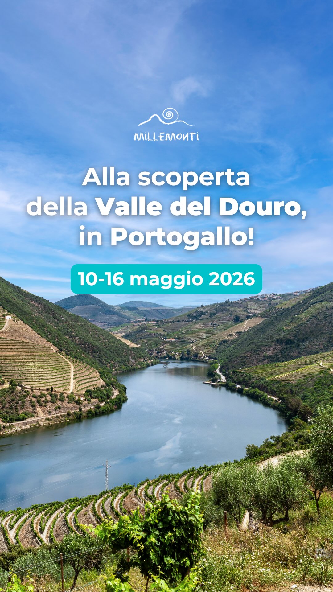 🇵🇹🍇 #PORTOGALLO: IL DOURO TRA VIGNE, VILLAGGI E SAPORI D’ECCELLENZA 🍇🇵🇹
La Valle del #Douro è Patrimonio dell’Umanità UNESCO: un paesaggio culturale unico, modellato dall’uomo in oltre 2000 anni di storia, dove natura, vigneti terrazzati e tradizione vitivinicola si fondono in un equilibrio straordinario.
Ed è proprio qui che vogliamo portarti, con un VIAGGIO ESCLUSIVO MilleMonti, creato su misura per chi ama camminare, scoprire e immergersi nella vita autentica di un territorio unico.
Insiema alla tua GUIDA PROFESSIONISTA MilleMonti, camminerai tra colline dorate e azulejos storici, navigherai sulle acque tranquille del Douro a bordo di una barca rabelo e assaporerai vini pregiati come il Porto e il Douro DOC, accompagnati dai sapori autentici della cucina locale, vivendo un’esperienza che inebria i sensi e resta nel cuore 🥾🌿🍷
📅 10–16 maggio 2026
✅ Guida professionista dall’Italia
✈️ Voli inclusi
✨ Parti con MilleMonti e scopri le bellezze patrimonio UNESCO della Valle del Douro in Portogallo! 🇵🇹
👉 Programma di viaggio su www.millemonti.it!
#millemonti #outdoors #trekking viaggiare viaggi viaggio vacanza vacanze viaggiotrekking vacanzedigruppo viaggiodigruppo valledeldouro dourovalley
@sportlandweb_ @kayland_official @rockexperienceofficial @guidealpinelombardia @guidealpine_italiane