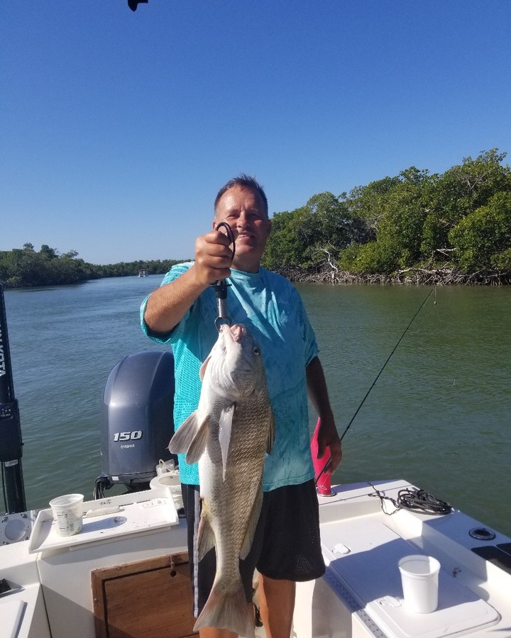 very big black drum caught in April 2021