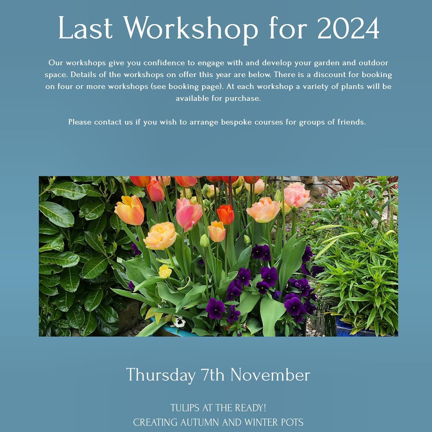 Autumn bulb time! Join us 10am-12.30pm on Thursday 7th November, creating beautiful pots for the spring to come, and creative combinations to brighten the doorstep on a winter’s day. For more details and to book now, visit our website www.abrightprospect.co.uk