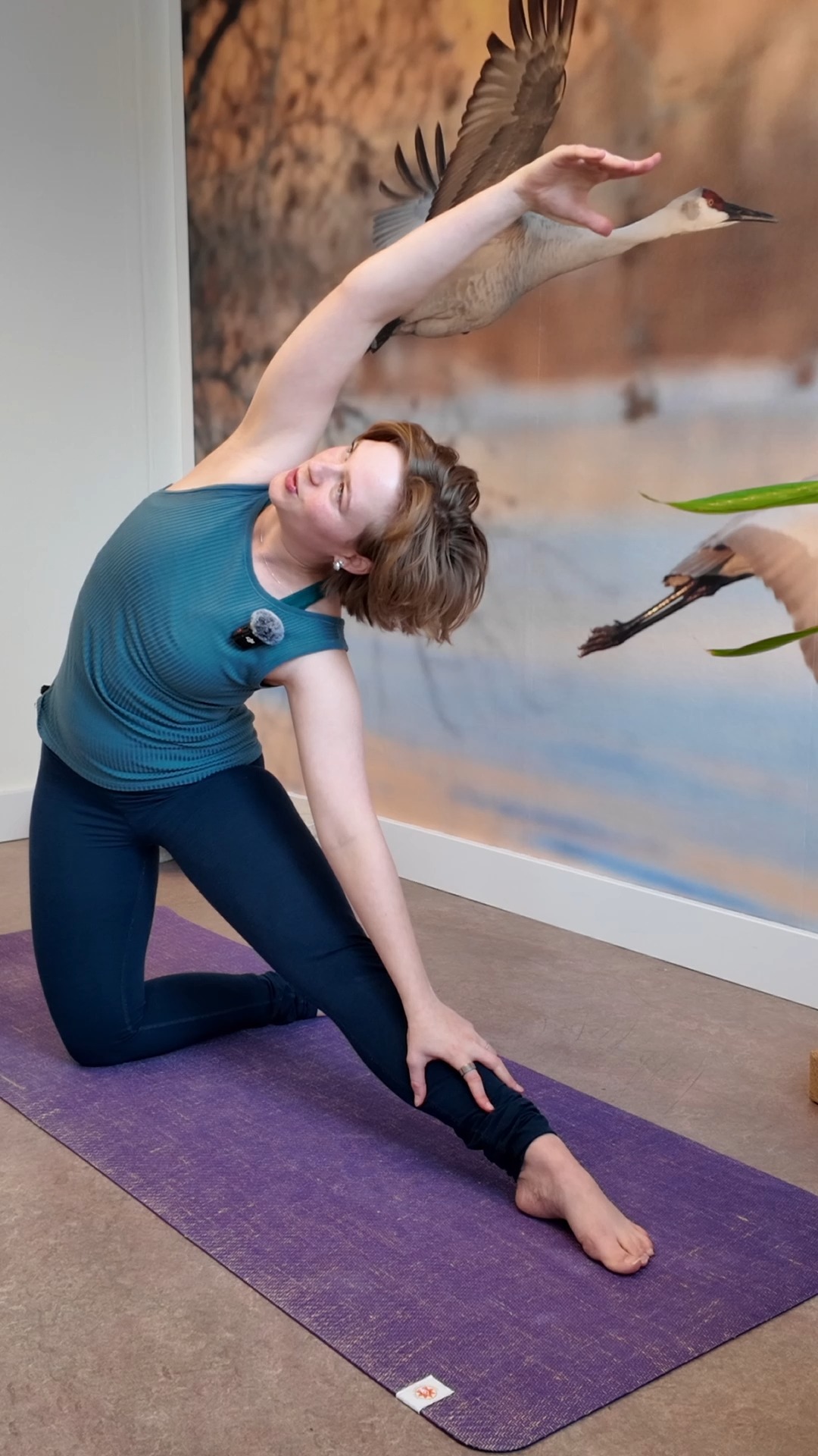 Do this when you don't have time for yoga
My yoga mat: @completeunityyoga (use code "EJ15" for 15% off)
#yoga #yogaflow #miniflow #miniyogaflow