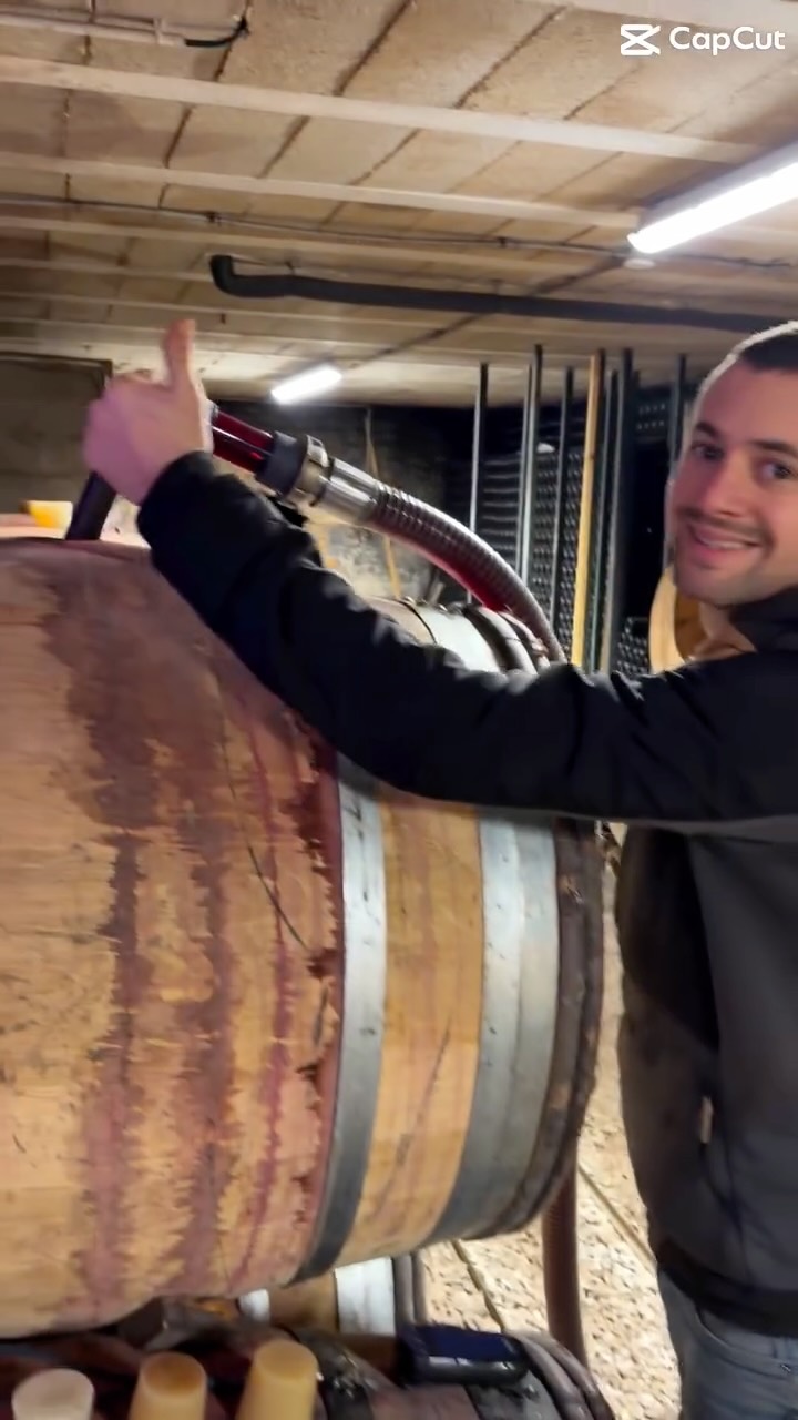 🎬 Dans notre cave à Pommard 🍷
Aujourd’hui, place au soutirage des fûts du millésime 2024: une étape clé avant la mise en bouteilles prévue en mars.
👉 Le vin est pompé pour être séparé de ses lies,
👉 Les fûts sont descendus un à un,
👉 Les lies sont vidées,
👉 Puis chaque fût est soigneusement lavé et désinfecté à l’eau chaude ♨️
Un travail minutieux, indispensable pour garantir des vins nets, précis et prêts à poursuivre leur élevage dans les meilleures conditions.
Le millésime 2024 avance vers sa mise en bouteille… et ça sent déjà très bon 😍🍷
#soutirage #vinification #vigneron #vigneronne #bourgogne pommard beaune vinrouge millésime2024 élevageenfût travaildelavigne vinfrançais winelover instawine vignerondebourgogne 🍷🍇