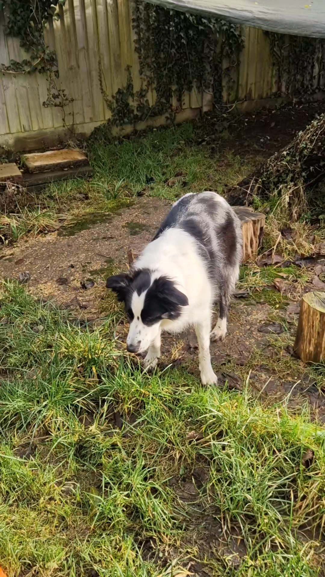 Even though it's rather wet at the moment, we've still enjoyed moments of sunshine in between the rain! ๐ฆ๐ถ๐ฆ