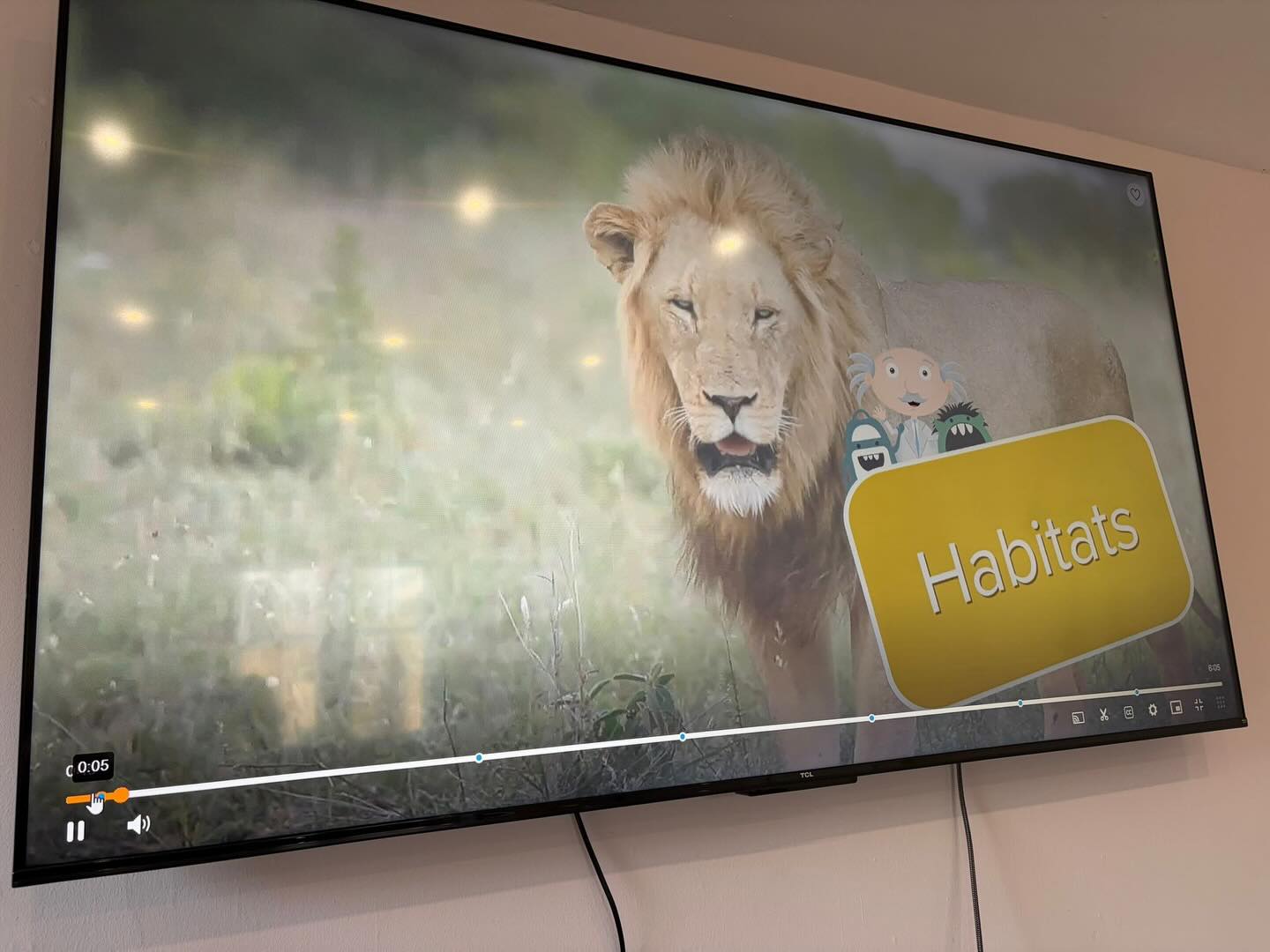 As part of science, we are learning about different habitats and what animals live in each #science #globalgoals #naturalworld