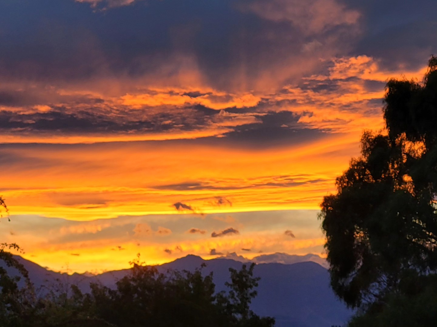 Evening Sky at Mountain Spirit tonight.
.
.
.
@purenewzealand #newzealand #wanaka #lovewanaka @wanaka #mountainspirit #meditation #retreats #yinyoga #experientialeducation #yurtstay #musicstudio