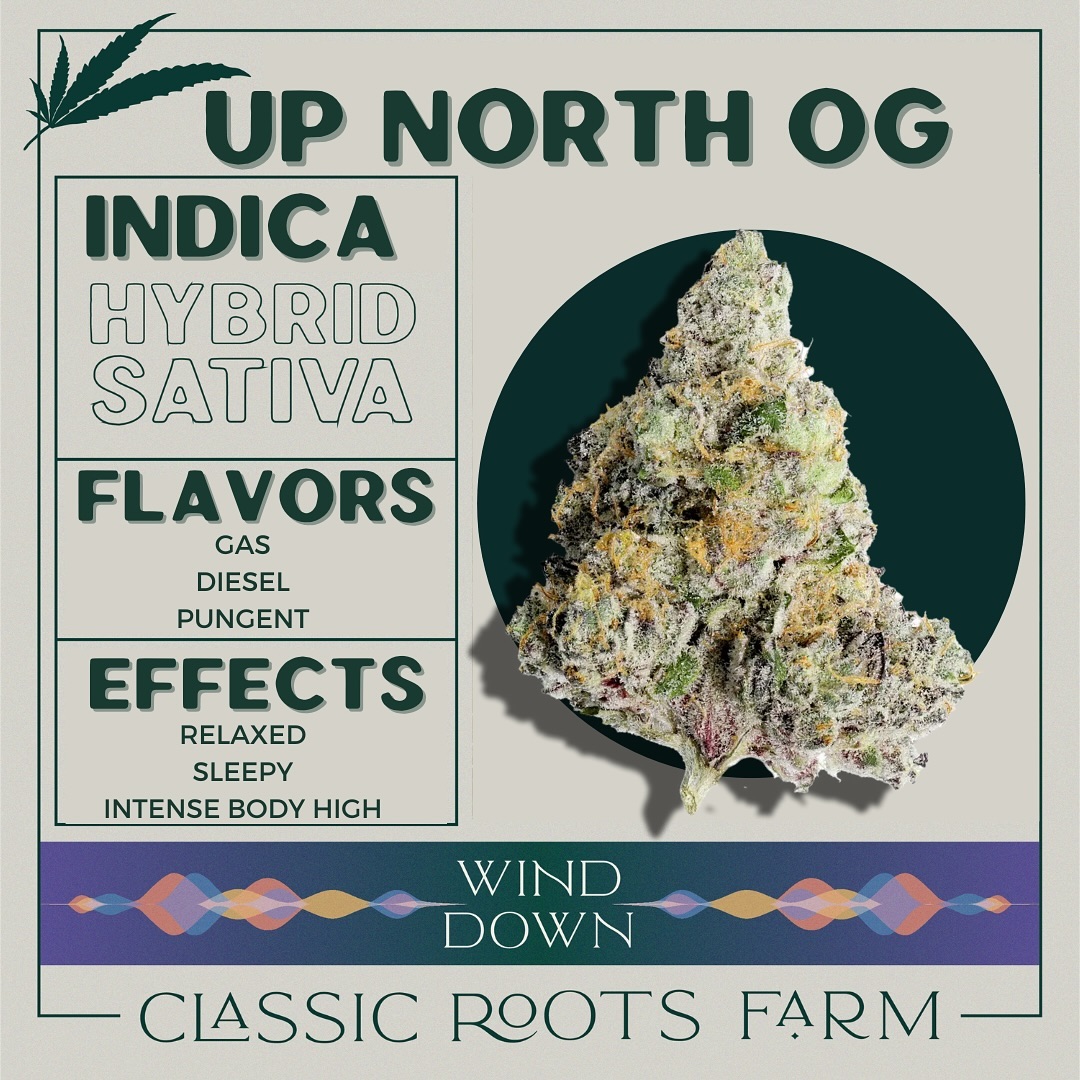 Get ready for a cozy cabin retreat with Up North OG (AKA GMO Bx1), a comforting indica-dominant hybrid crafted from the marriage of Slap n Tickle and GMO. Bred by Covert Genetics, this strain embodies the essence of Northern Michigan with its OG terp profile and heavy GMO influence, reminiscent of evenings spent lakeside. Picture yourself surrounded by pine forests as you indulge in the pungent, diesel-like flavors that evoke memories of long floats down your favorite river. 🌲Experience the intense body high that lulls you into a state of relaxation, perfect for sinking into a plush couch by the fireplace after a day of exploring the great outdoors and dipping your toes in the cool, tranquil waters of the lake. 🔥