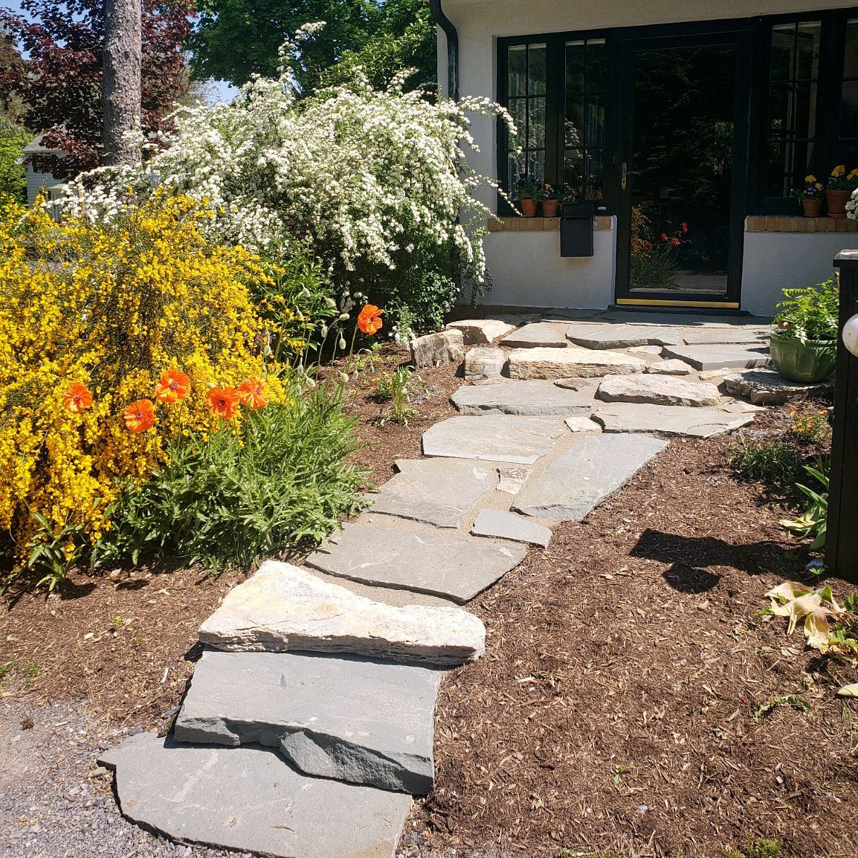 Loving the way all this color enhances the natural stone pathway our crew installed earlier this year!
#gardenpath #naturalstone #naturalbeauty #paflagstone #landscapersofinstagram #statecollege #pennstate #landscaper #yondermountain #conservation