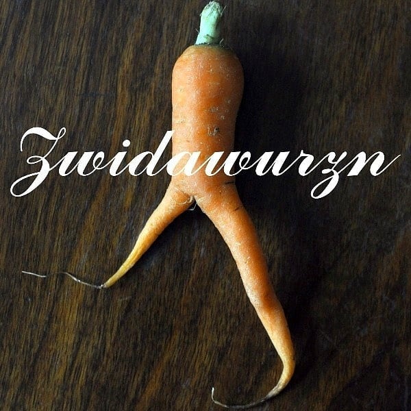 Wer kennt sie nicht, die Zwidawurzn? Zwider ist einem Wiener bald mal was, nämlich “zuwider” - es geht einem gegen den Strich, es nervt einfach nur. Dann wird man selbst zwider, also mürrisch und ungehalten. Und bei wem dieser Zustand regelmäßig auftritt, der ist eine Zwidawurzn, manchmal auch ganz liebevoll gemeint.
.
.
#wienergold #bussibaba #oida #zwidawurzn #talklikemundl #wien #vienna #wienerisch #wienliebe #wienerwortschatz #wienistanders #wortschätze #wieneralltag