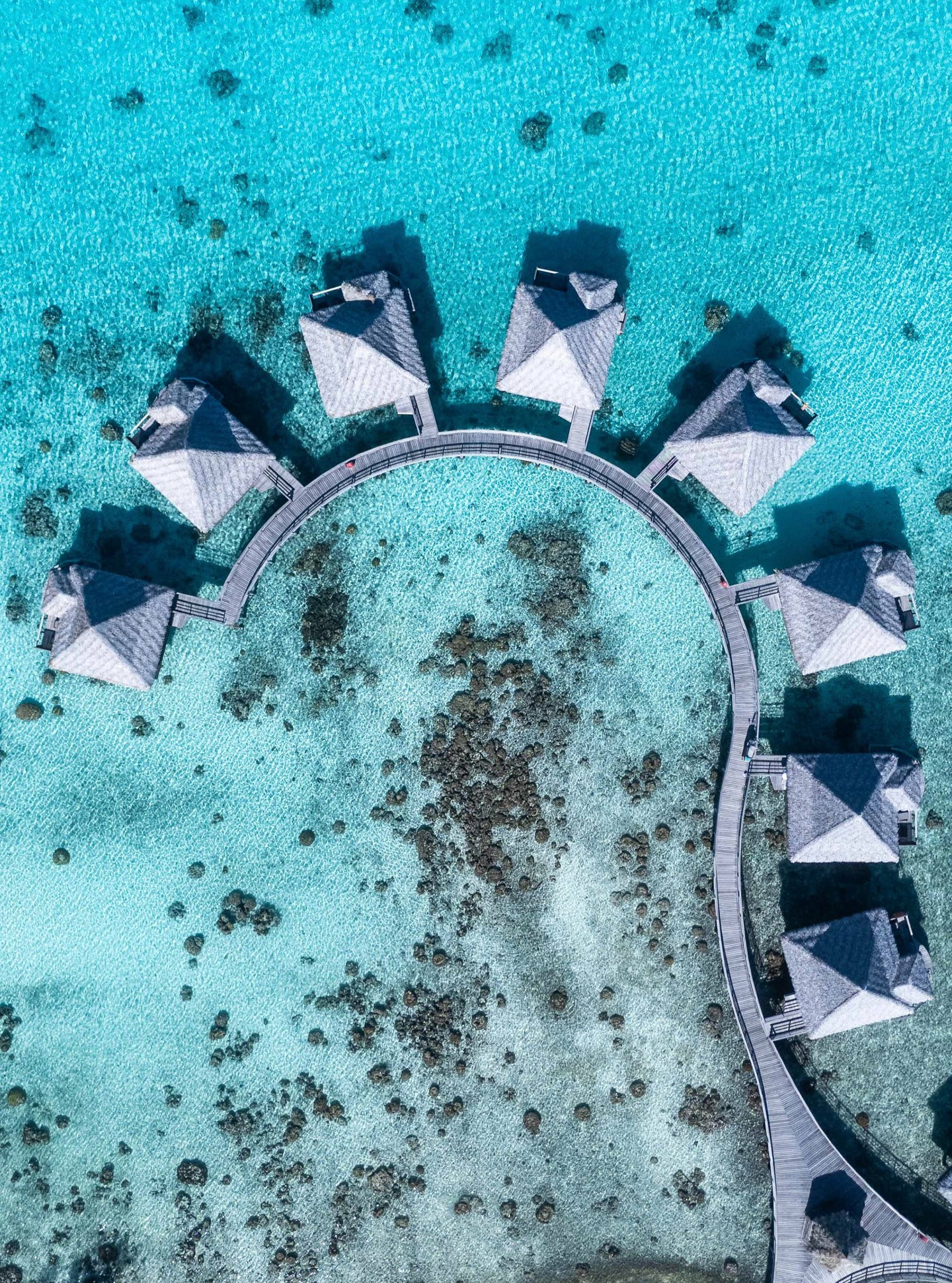 Visto desde el cielo, el paraíso toma forma.
Bungalows sobre el agua dibujan una curva perfecta sobre el lagón turquesa de Rangiroa
✨ Haz de este paraíso tu realidad.
.
From above, paradise takes shape.
Overwater bungalows trace a perfect curve above the turquoise lagoon of Rangiroa
✨ Make this paradise your reality.
📷 @dmonmond
#MoemoeaTravel #PolinesiaFrancesa #FrenchPolynesia #OverwaterBungalows #TurquoiseLagoon #Rangiroa #IslandDream #LuxuryTravel #SlowLuxury #MoemoeaExperience #LoveTahiti