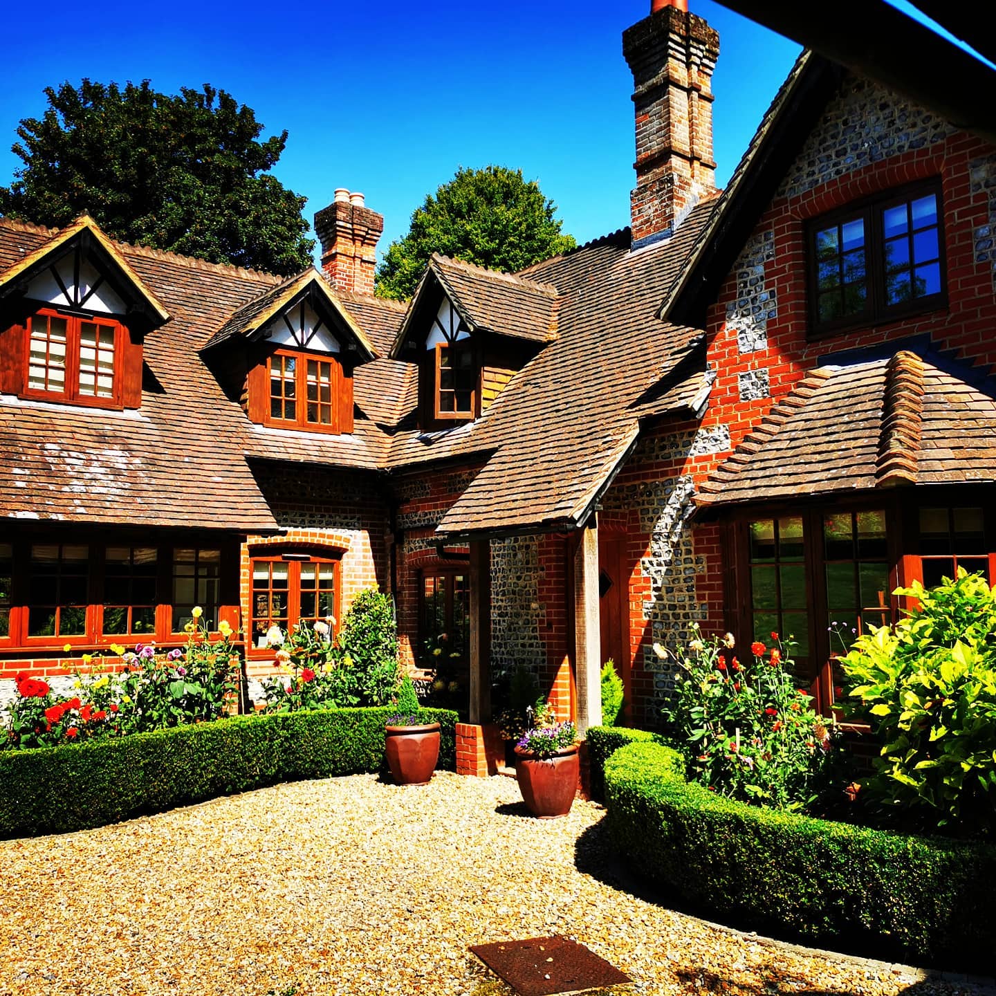The Dahlias tubers we planted in the spring are finally starting to fill out. When you come up the drive to this property you are hit by a wall of colour growing up from behind the Box Hedging which will only get better year after year.
#bloomsford #gardening #gardener #gardenphotography #gardenlife #gardens #dahlia #dahlias #outdoorsman #gardens #boxhedge #colour #gardenersworld #gardensofinstagram