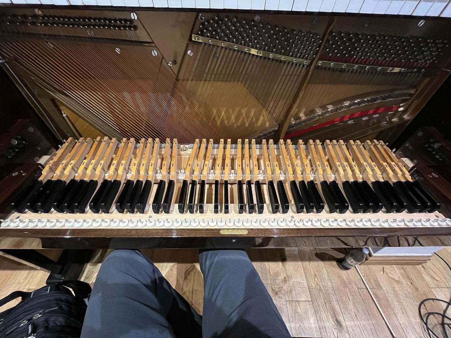 Little Waldstein for a service and fix the Sustain pedal rod amongst other little bits n bobs.