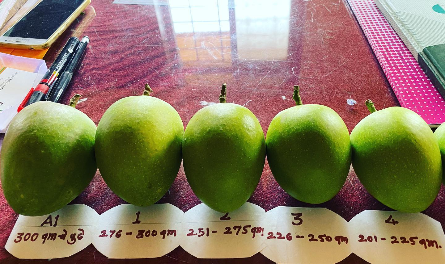 Which size are you looking for 🤪