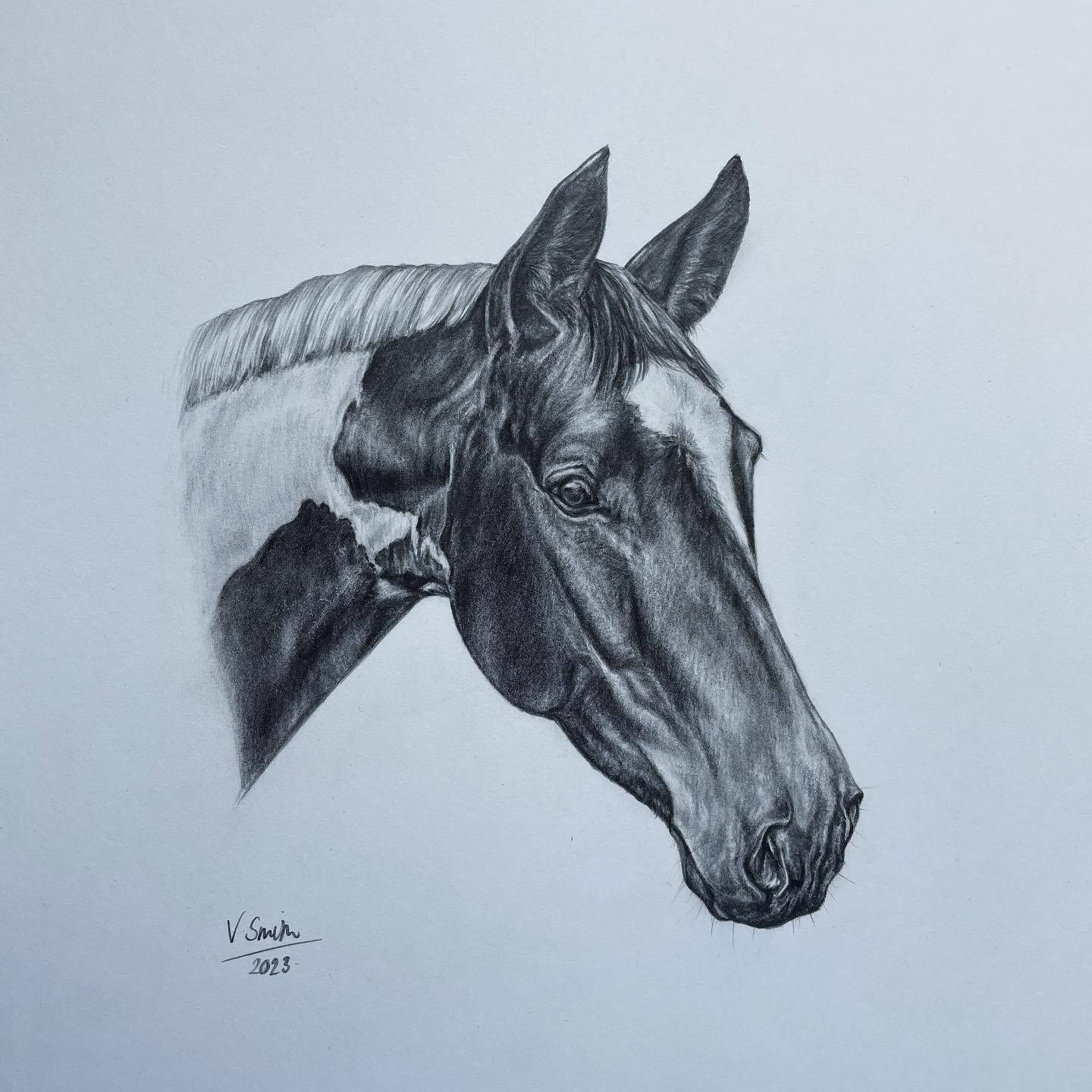 Gorgeous Girl 🤍
Pencil drawing on hot pressed paper - 12 x 9”
Taking commissions this summer - please get in touch to discuss!
@camrose_stud
@jack.whitefordeventing