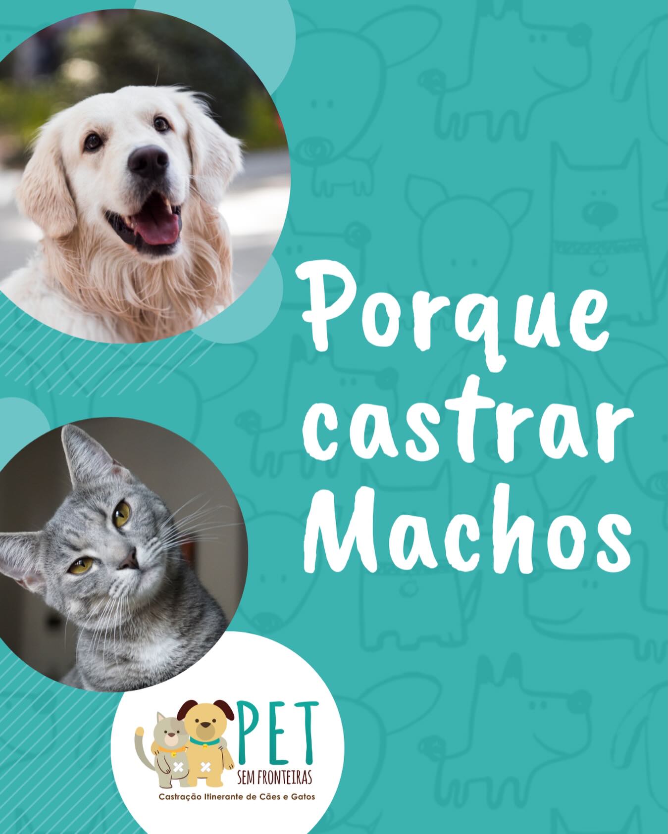 Em machos, a castração reduz a frustração sexual e a necessidade de sair em busca de “namoradas”. Ao mesmo tempo, isso diminui o risco de fugas, atropelamentos e brigas com outros machos.
Reduz-se em grande escala os problemas de próstata e evita-se o câncer de testículo, que pode ser fatal.
Cães e gatos machos sentem menos necessidade de marcar o seu território com urina.
Seu animal de estimação também pode ficar mais dócil, facilitando a interação e reduzindo situações problemáticas – especialmente entre os que tinham comportamento agressivo antes.
Uma vez que seu cão está castrado, consulte seu veterinário sobre a quantidade de comida que você deve oferecer. Em geral, os animais castrados consomem menos calorias. Ressaltamos ainda que a castração em si não faz os animais engordarem. O que acontece em alguns casos é a redução de atividade física (o animal fica mais calmo), o que o leva a ganhar peso. Basta ficar de olho e não deixar de exercitá-lo.
Fonte: www.worldanimalprotection.org.br