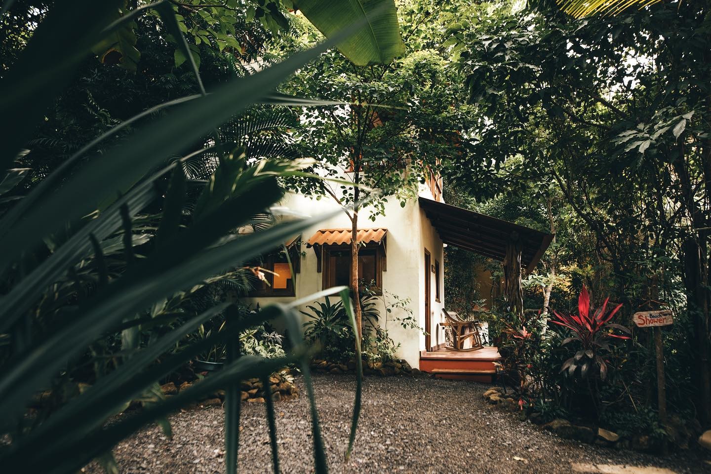 Our Cabañas are tucked into the jungle overlooking the Pacific, steps from the ocean but also private and tranquil.
Nuestras cabañas están escondidas en la jungla con vista al Pacífico, a pasos del océano pero también privadas y tranquilas.
#lafinca #cedroespinocabana #cambutal #cabana #tropicalgarden #panama #atppanama