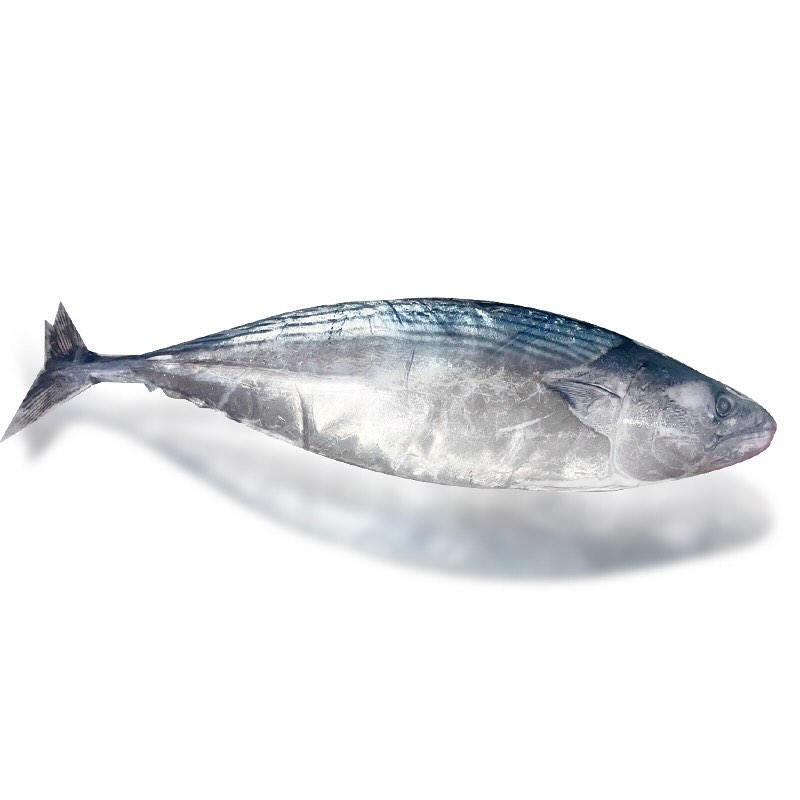 鑫富勝食品有限公司
產品:煙仔虎
#鑫富勝 #鯖魚 #南方澳 #海鮮 #煙仔虎