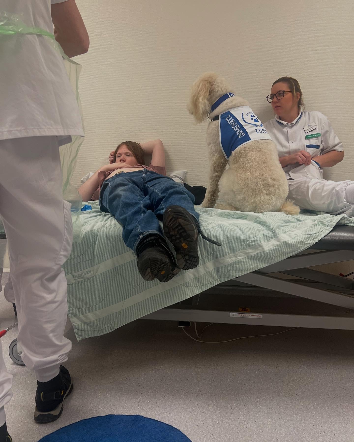 Tack vare Sjukhushund® kan just det här läkarbesöket/just den här undersökningen genomföras🙏🏻 (foto med samtycke)💕🐶 #sjukhushund #läkarbesök #mr #undersökning #hospital #dog