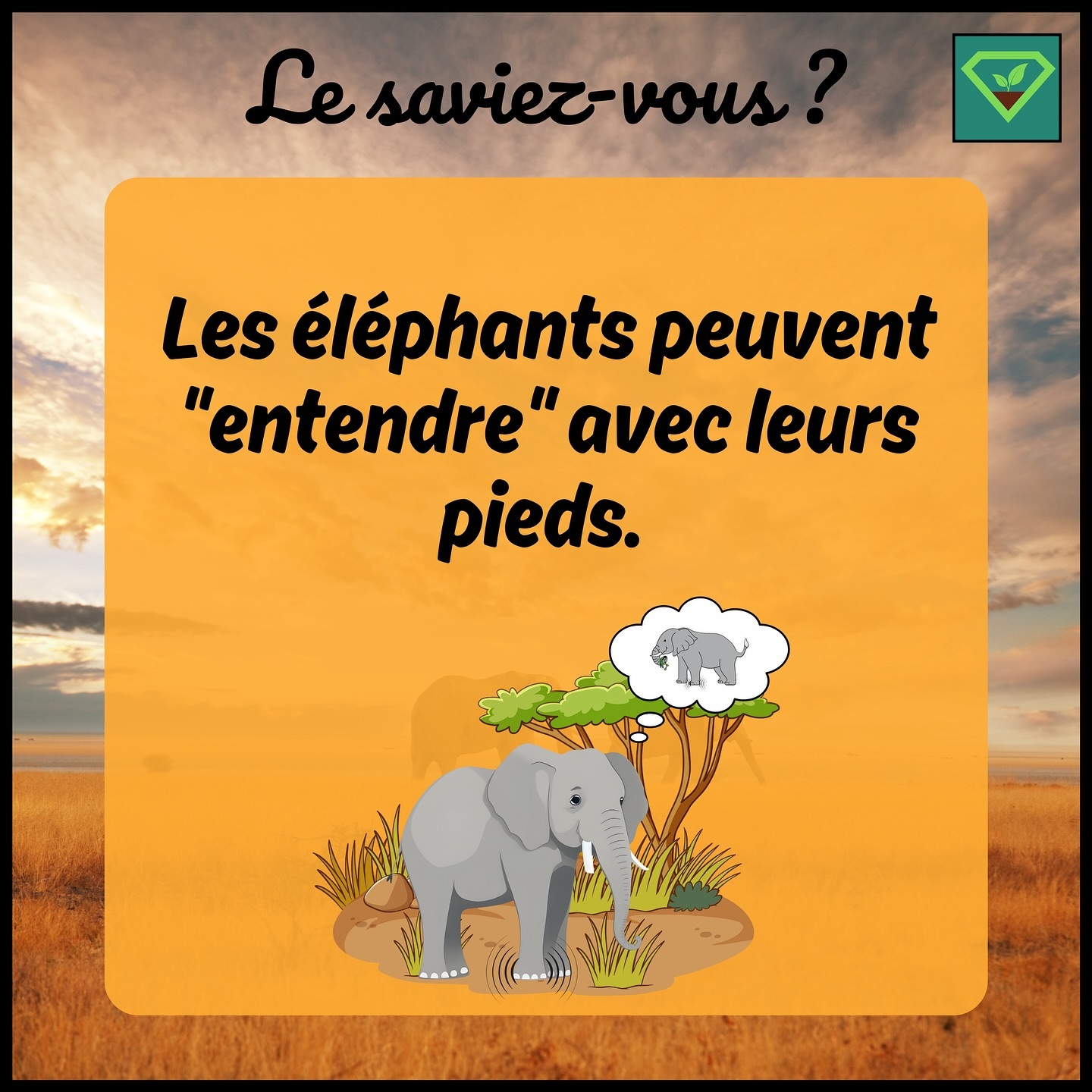 🐘👂🦶🏻 Les éléphants peuvent « entendre » avec leurs pieds : 👉🔉 Ils sont capables de capter des vibrations du sol, leur permettant de communiquer sur de longues distances par infrasons. Ces sons peuvent parcourir de longues distances et sont souvent utilisés pour la communication entre les membres d’un troupeau dispersé. #savoir#histoire#insolite#lesaviezvous#greenisyou#funfact#info#culturegenerale#elephant#pieds#infrason#vibration#communication