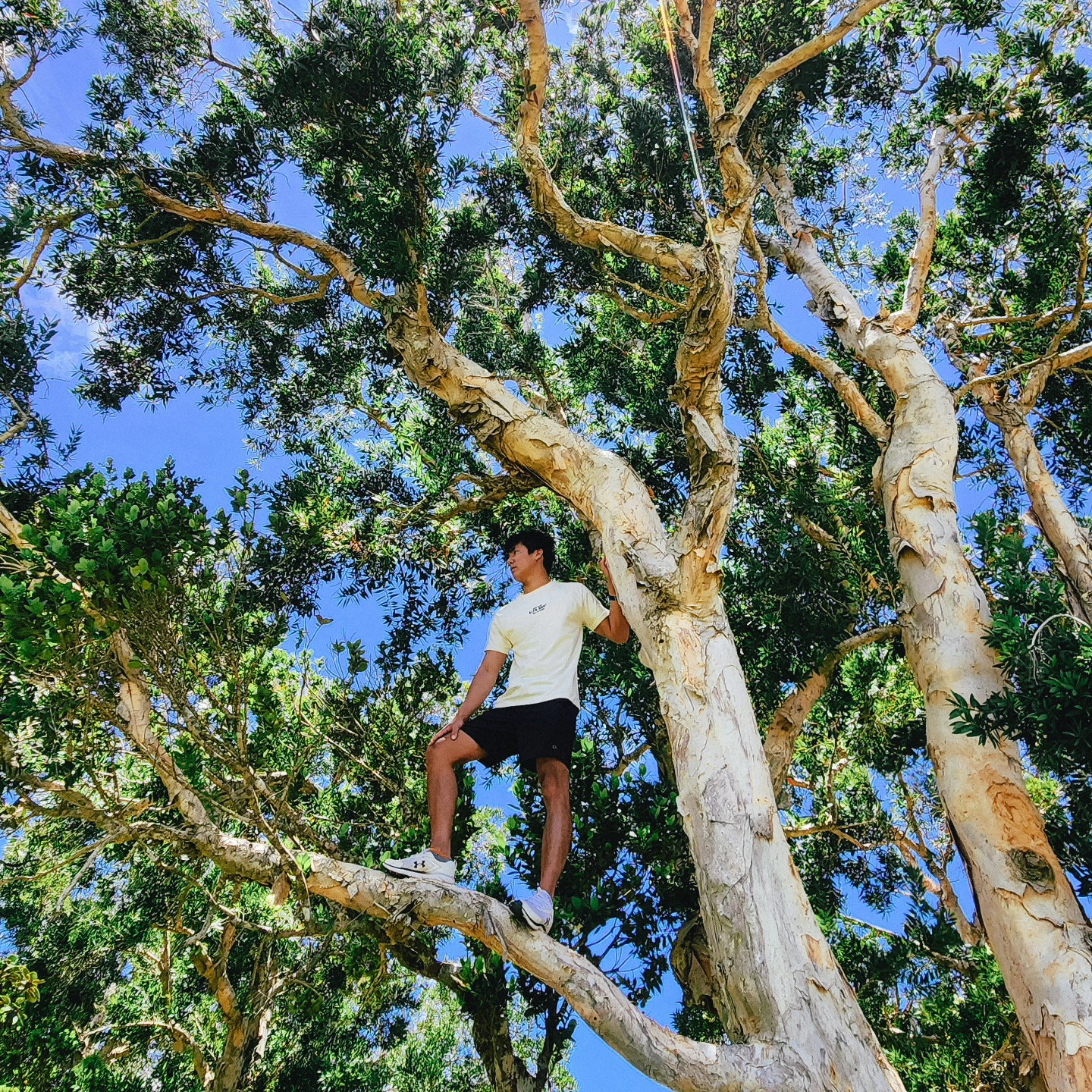 Go beyond the comfort zone with our box-fit tee. Made for adventurers. Follow us! #alphhunt
Shop on our website www.alphhunt.com Free delivery!