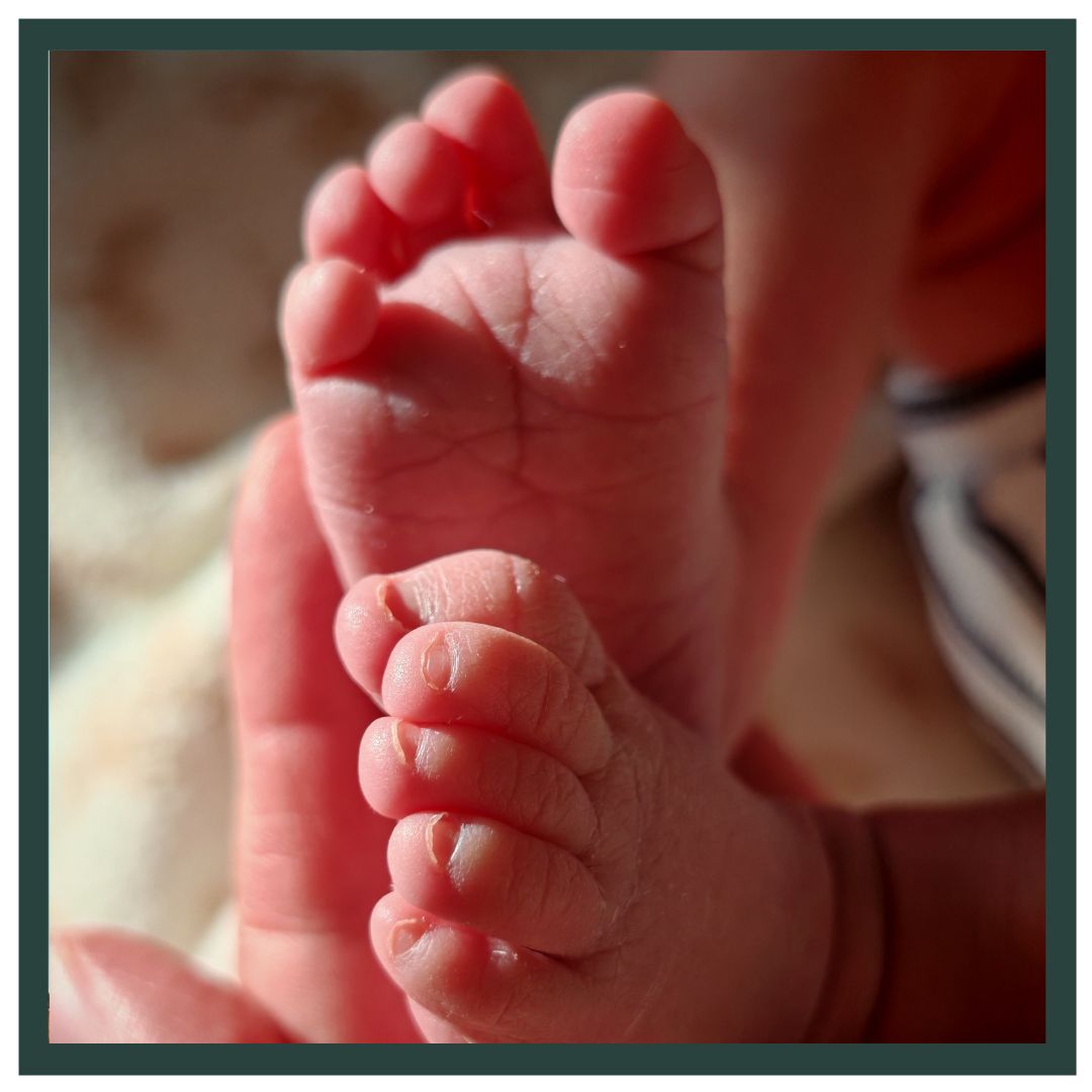 WELKOM NORIAN! 💙
Deze lieve knul is Norian, het kleine broertje van Nilan. Hij werd bij 40+3 geboren op 05-01-2026, om 01.30 uur. Hij woog 3268 gram.
Linda en Robin belden op 4 januari met Zoë omdat ze twijfelden of de bevalling begonnen was. Omdat het precies op het tijdstip was dat onze dienst wisselt, kwam daarna Milan bij hen thuis langs, in het donker door de sneeuw 🚗. Linda en Robin hadden een hele fijne rustige sfeer gecreëerd. De bevalling leek begonnen maar was wel nog echt in een beginnend stadium. Linda wilde graag weten waar ze aan toe was. Ze bleek 1 cm ontsluiting te hebben en in overleg hebben we besloten te strippen in de hoop de bevalling een extra zetje te geven. Dit bleek een goede beslissing, want 3,5 uur later belde Robin opnieuw of Milan langs wilde komen. Dit keer wilde Linda wel een controle, maar zelf niet weten hoe ver ze was zodat ze goed in haar bubbel kon blijven. Ze had al 6 cm ontsluiting, dus we besloten om naar het ziekenhuis te gaan. In het ziekenhuis aangekomen braken al snel spontaan de vliezen 💦 en kreeg Linda drukgevoel. Het bad wat vol liep hebben we daarom niet gered. Linda wilde het liefst niet liggend persen. Op handen en knieën ging het persen heel goed, en na 20 minuten werd kleine Norian geboren. Hij moest even bijkomen van de snelheid maar deed het daarna super. Na uitgebreid huid op huid contact met zowel mama als papa 🥰 zijn ze een aantal uur na de bevalling terug naar huis geglibberd over de gladde sneeuwwegen.❄️
Lieve Linda, Robin en Nilan. Heel veel geluk met jullie lieve zoon en broertje Norian. Bedankt voor jullie vertrouwen en tot over een paar weken bij de nacontrole! Veel liefs! Team LEV. 🤍
#bevalling #geboorte #babyboy #welkomkleintje #verloskundigen #liefdevol #vertrouwd