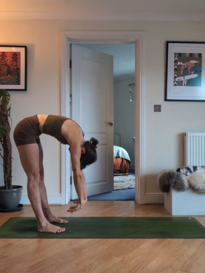 Some moments from my practice this morning, wobbles and all ✨
Starting a new class this Thursday!!
~ Dynamic Vinyasa 💫
Expect good tunes & playful sequencing (sadly no pup 🐶)
6-7PM
@theloft.nqy
.
.
.
.
.
.
.
#yoga #vinyasa #puppyyoga #yogaplay