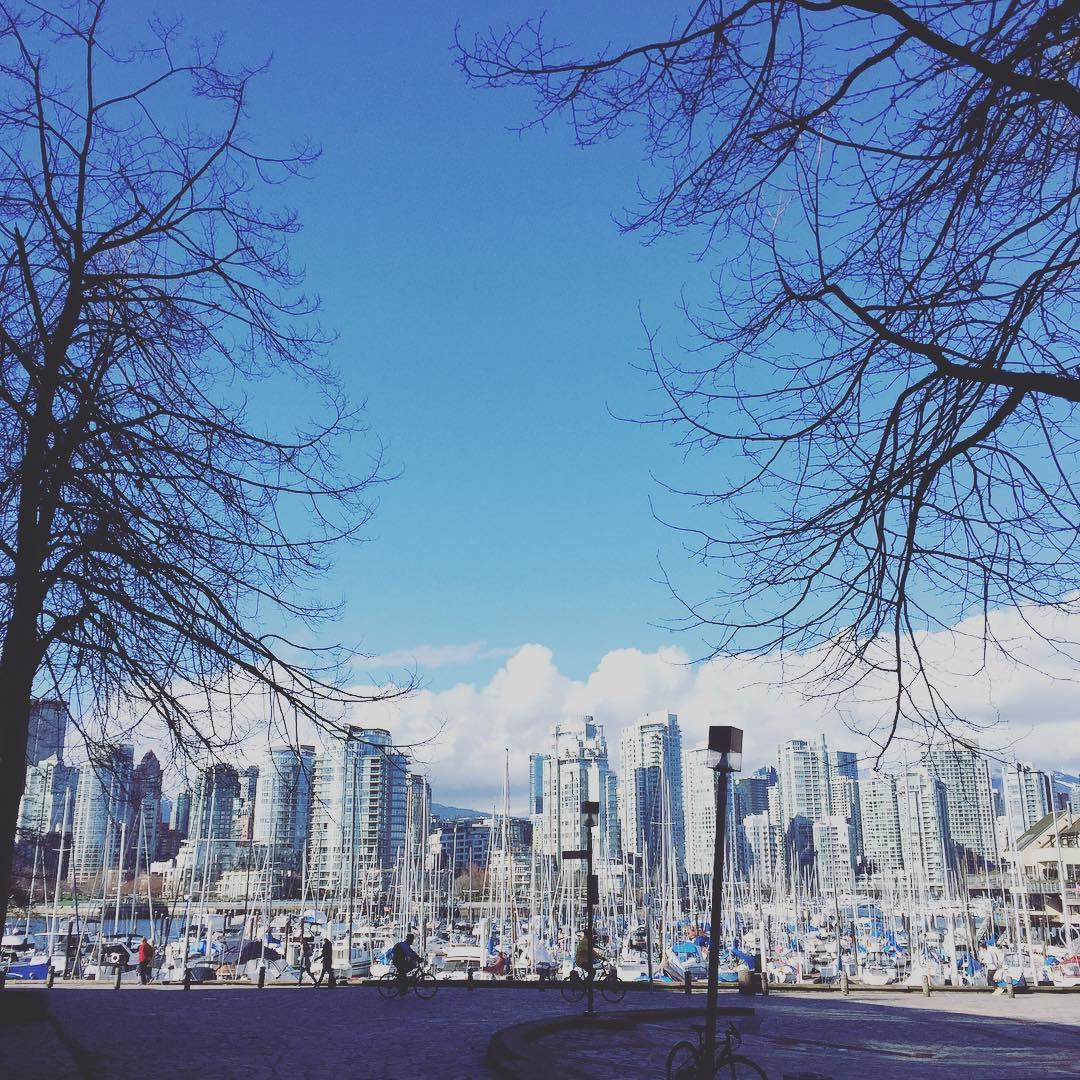 SPRING market in FULL effect! #multipleoffers #vancouver #vancity #falsecreek #downtownvancouver #vancityvibe #vancouvercanada #cityofvancouver #yaletown #coalharbour #gastown #westend #fairview #kitsilano #mountpleasant #southgranville #eastvan #northvan #westvan #highrise #skyline #seawall #vancouverrealtor #realestate #home #vancouverisawesome #yvr #vanRE #spring #REALTORĀ®