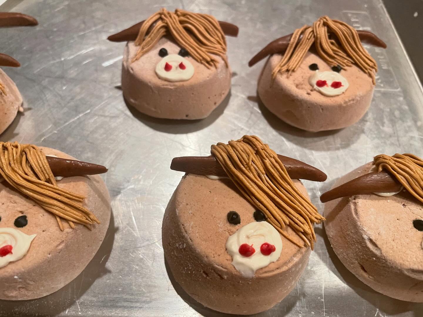 Look who came back to visit again.